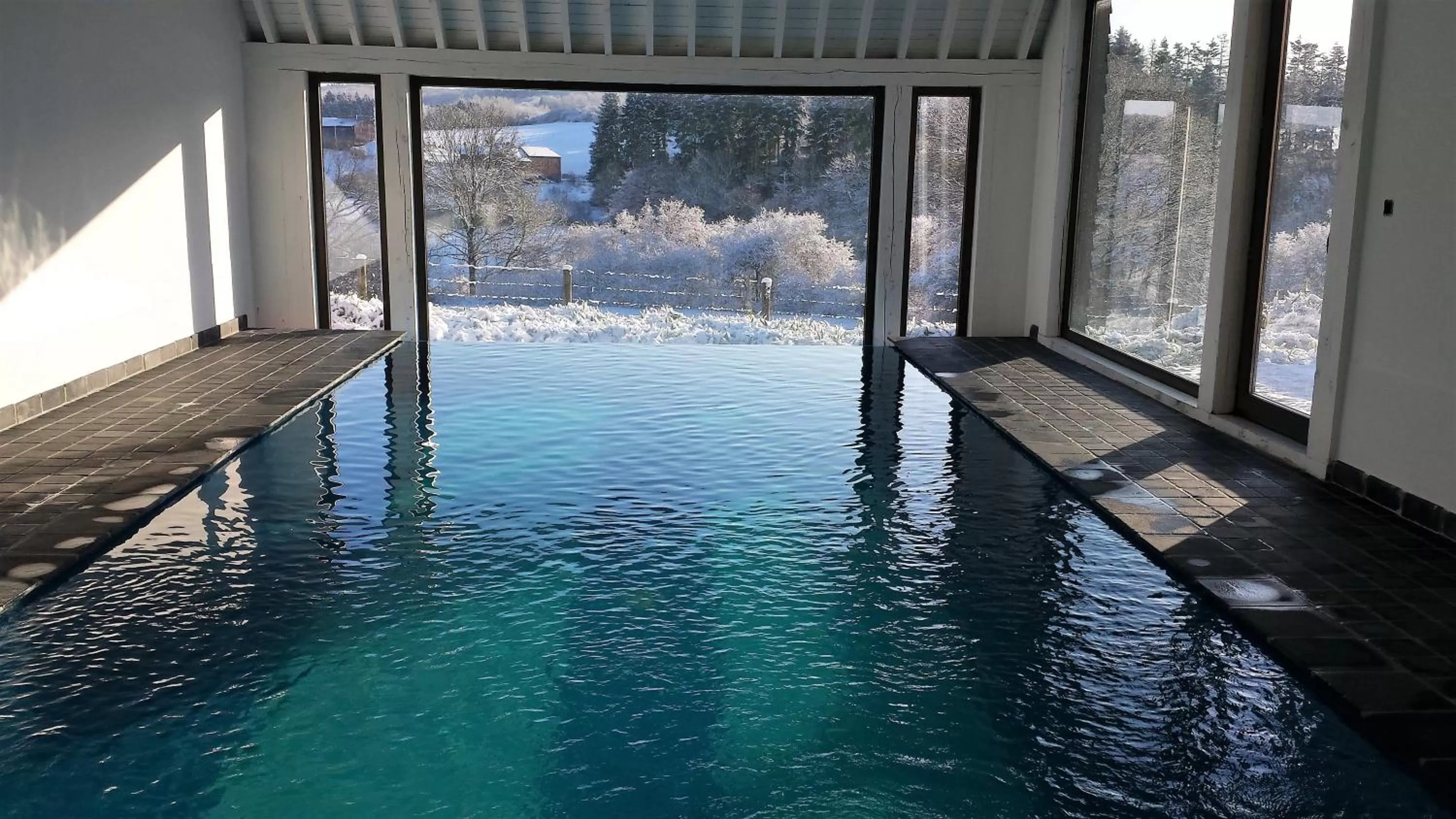 Swimming pool in B&B Le Briquemont
