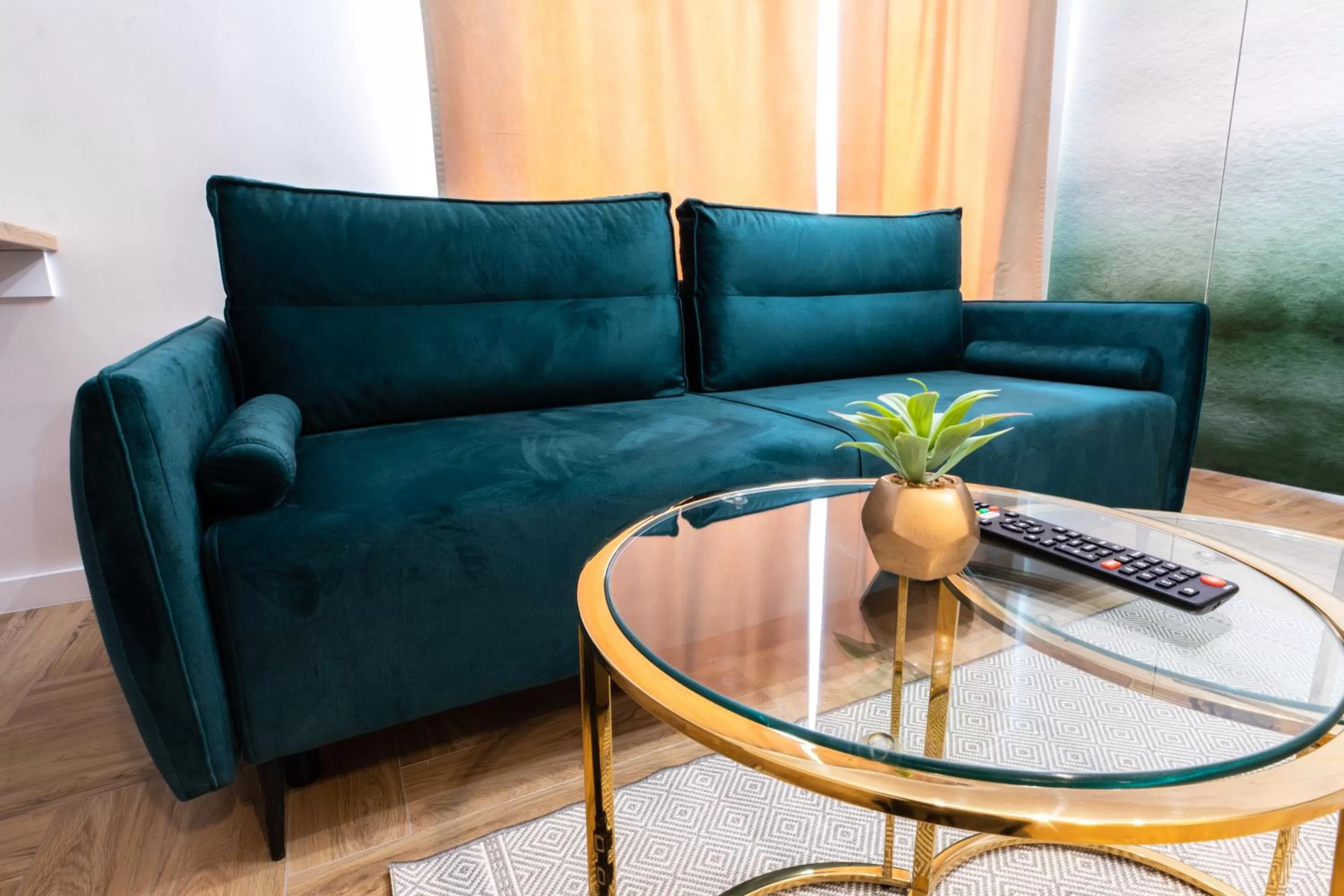 Living room in Stylowe Apartamenty Plewiska