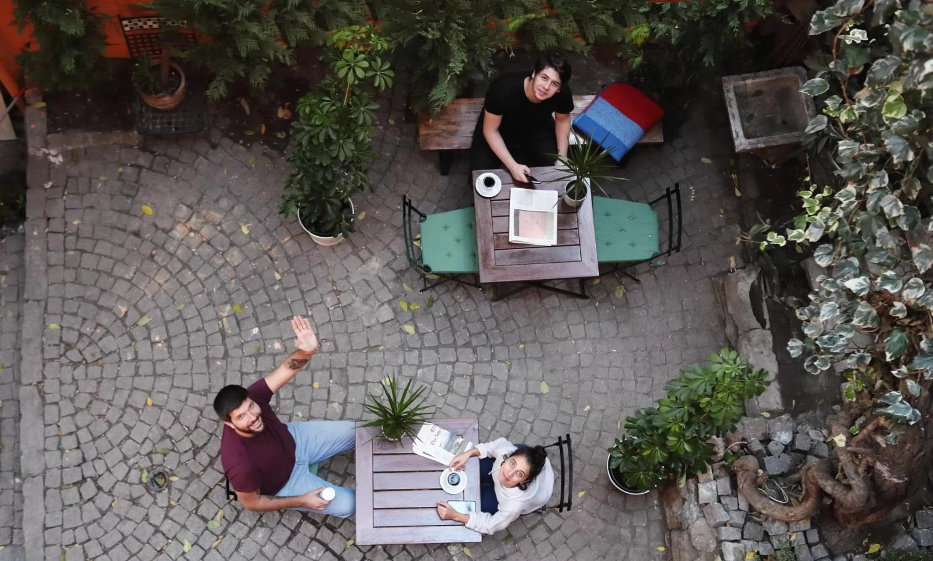 Garden in House MOLA Galata