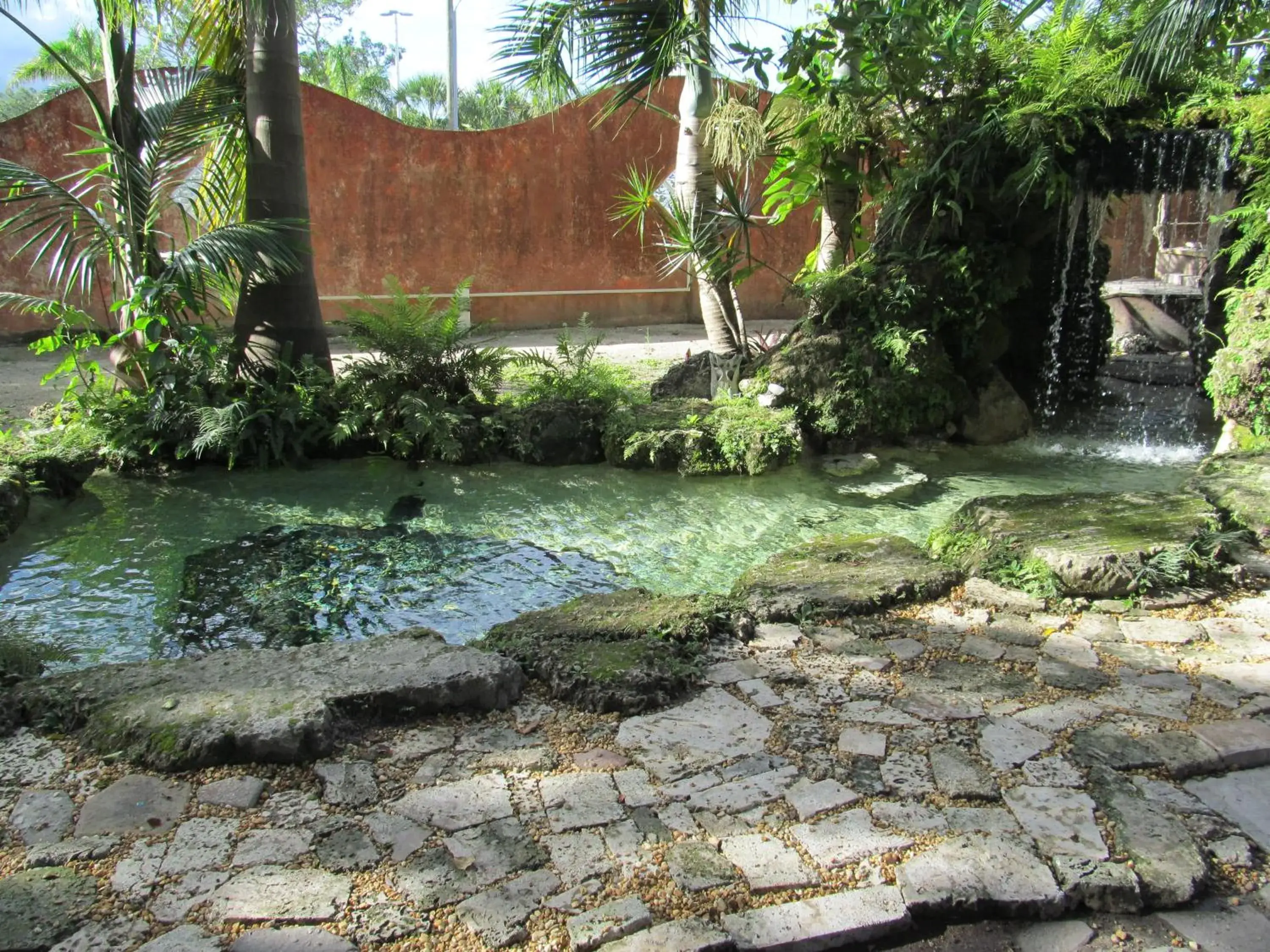 Natural landscape, Garden in Hoosville Hostel (Formerly The Everglades Hostel)