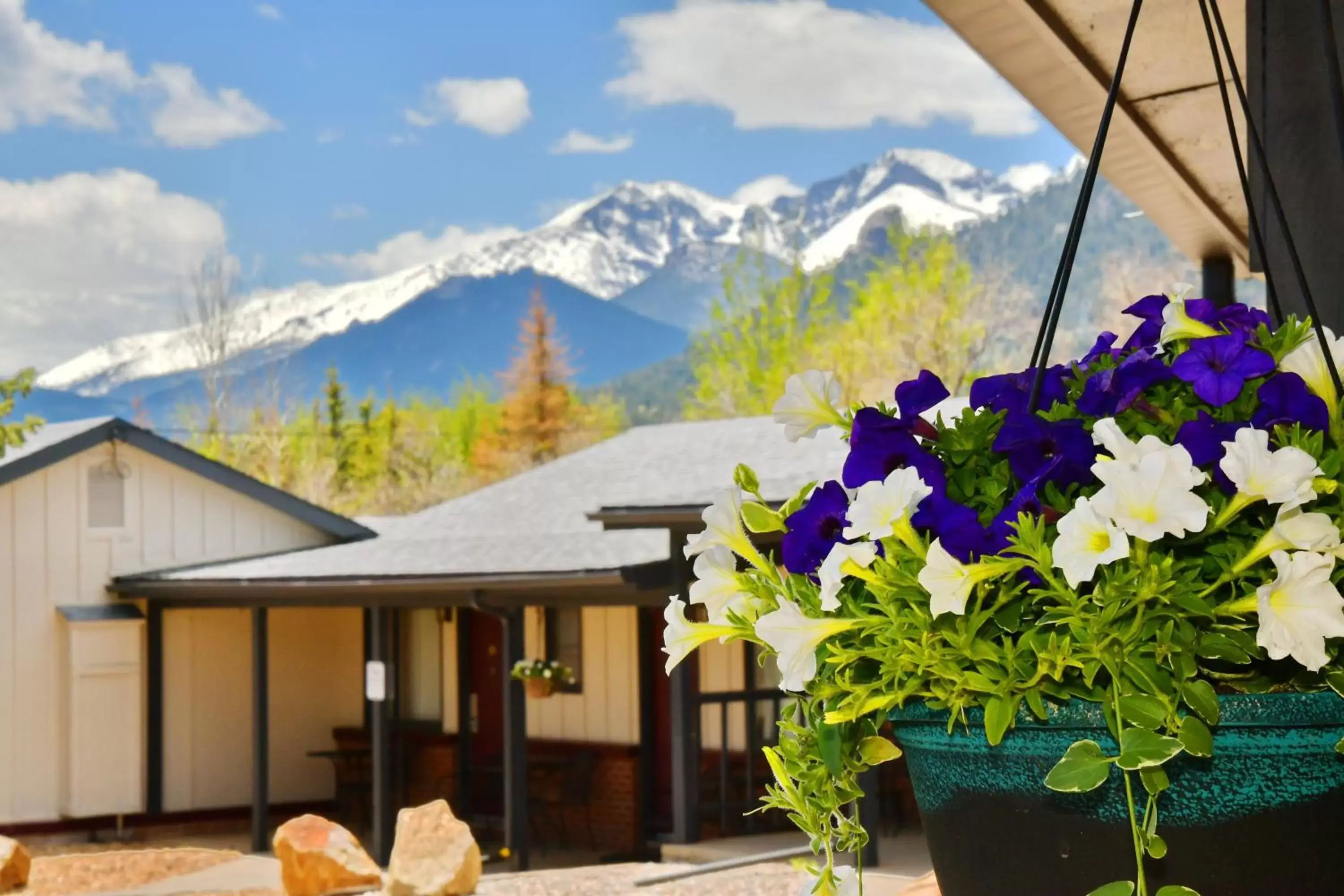 Natural landscape, Mountain View in Murphy's Resort