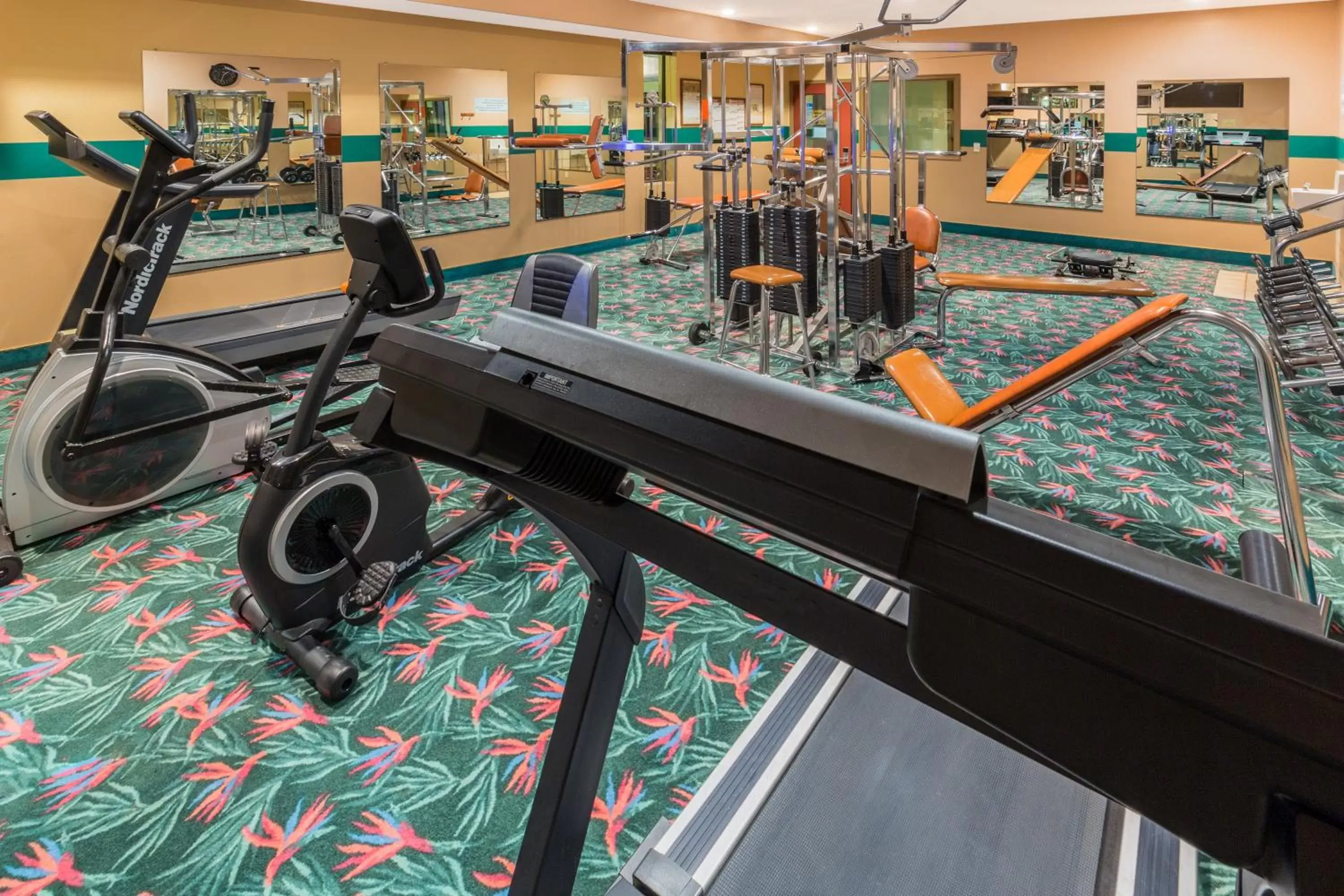 Fitness centre/facilities, Fitness Center/Facilities in Days Inn by Wyndham Black Bear