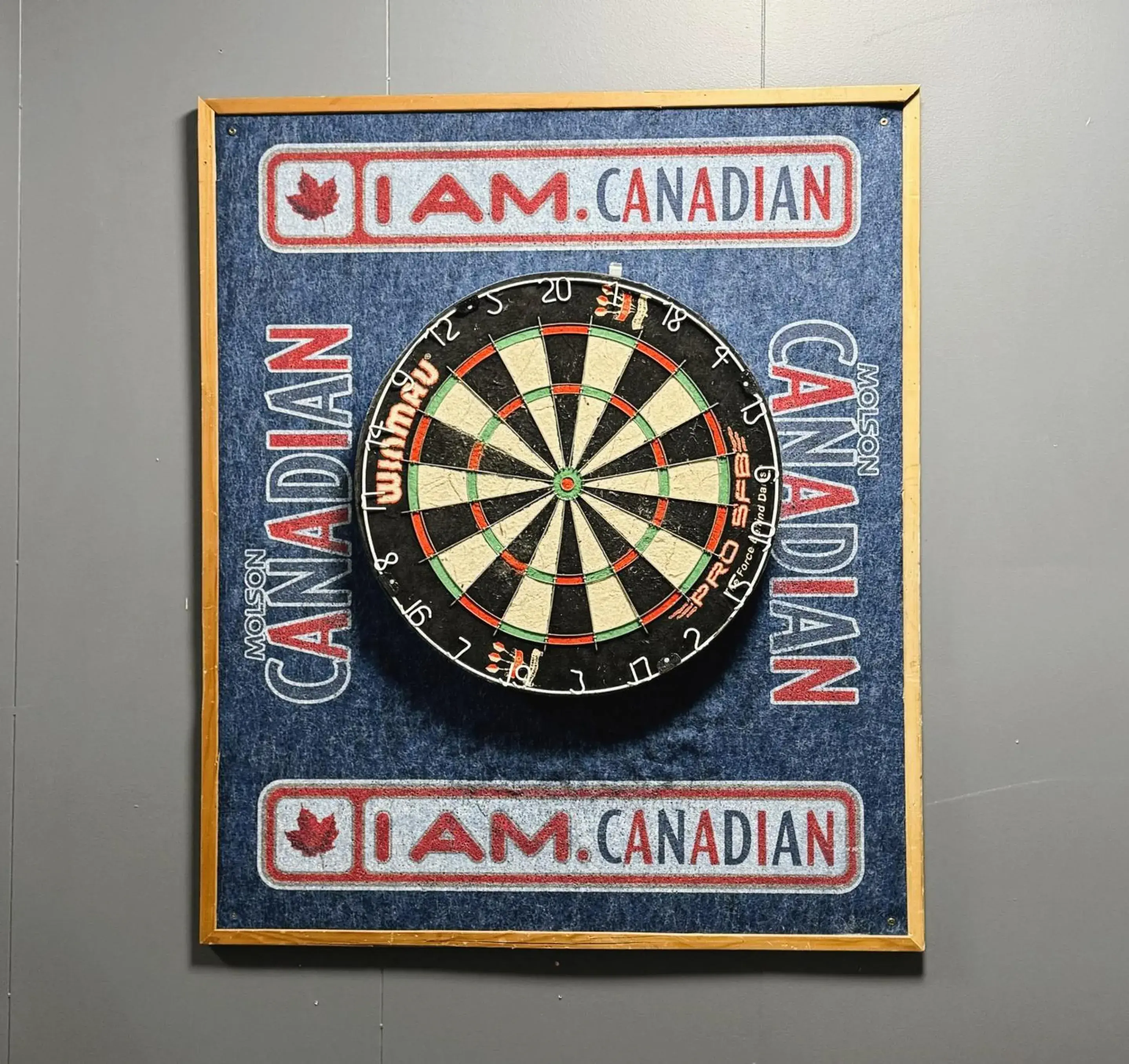 Darts, Property Logo/Sign in DIVYA SUTRA Riviera Plaza and Conference Centre, Vernon, BC