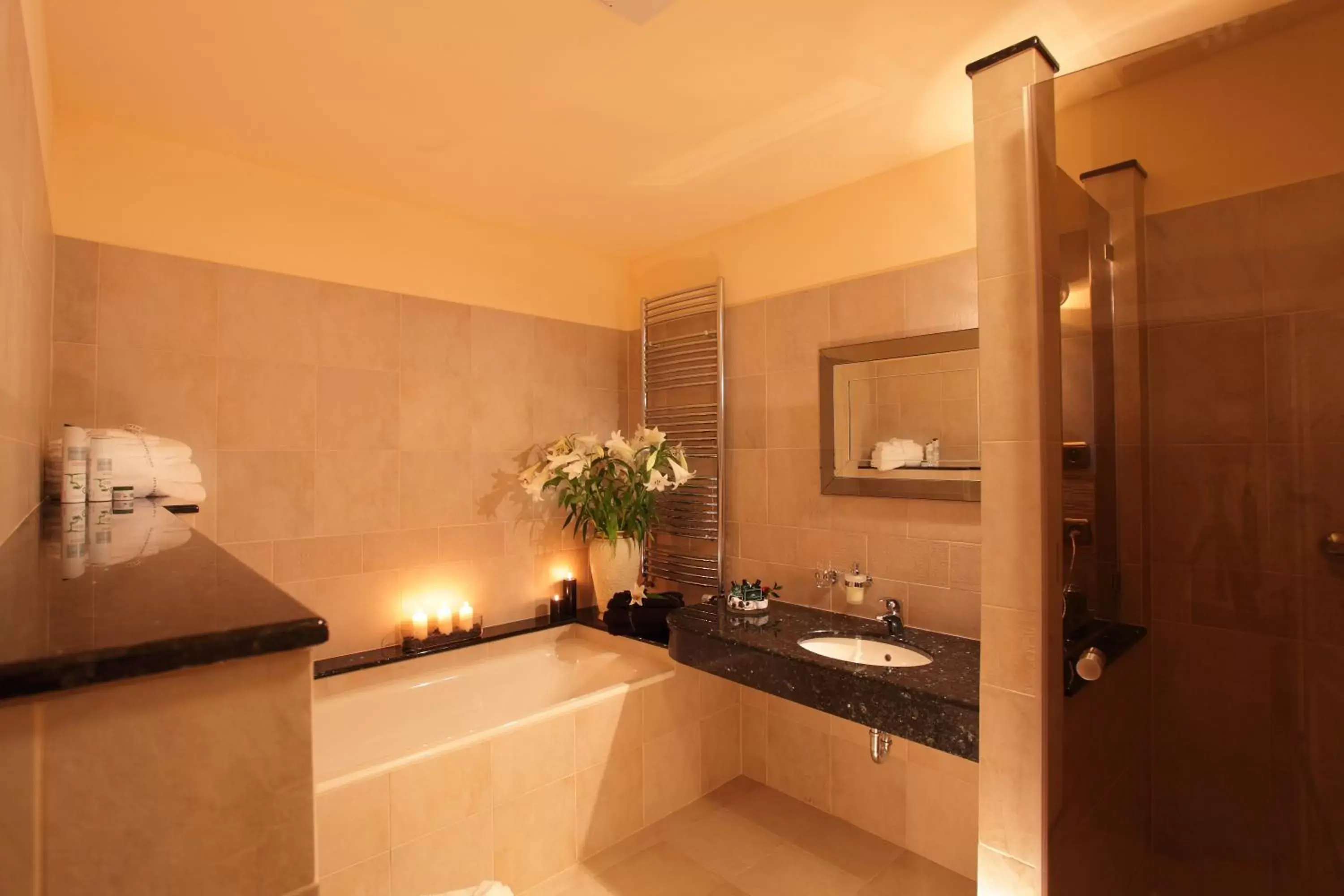 Shower, Bathroom in Elysee Hotel