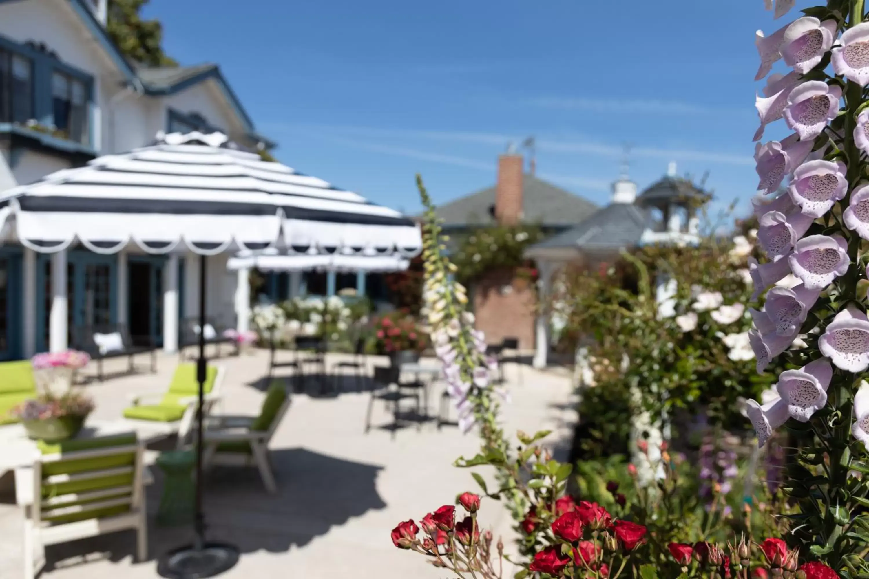 Mill Rose Inn Mill Rose Inn