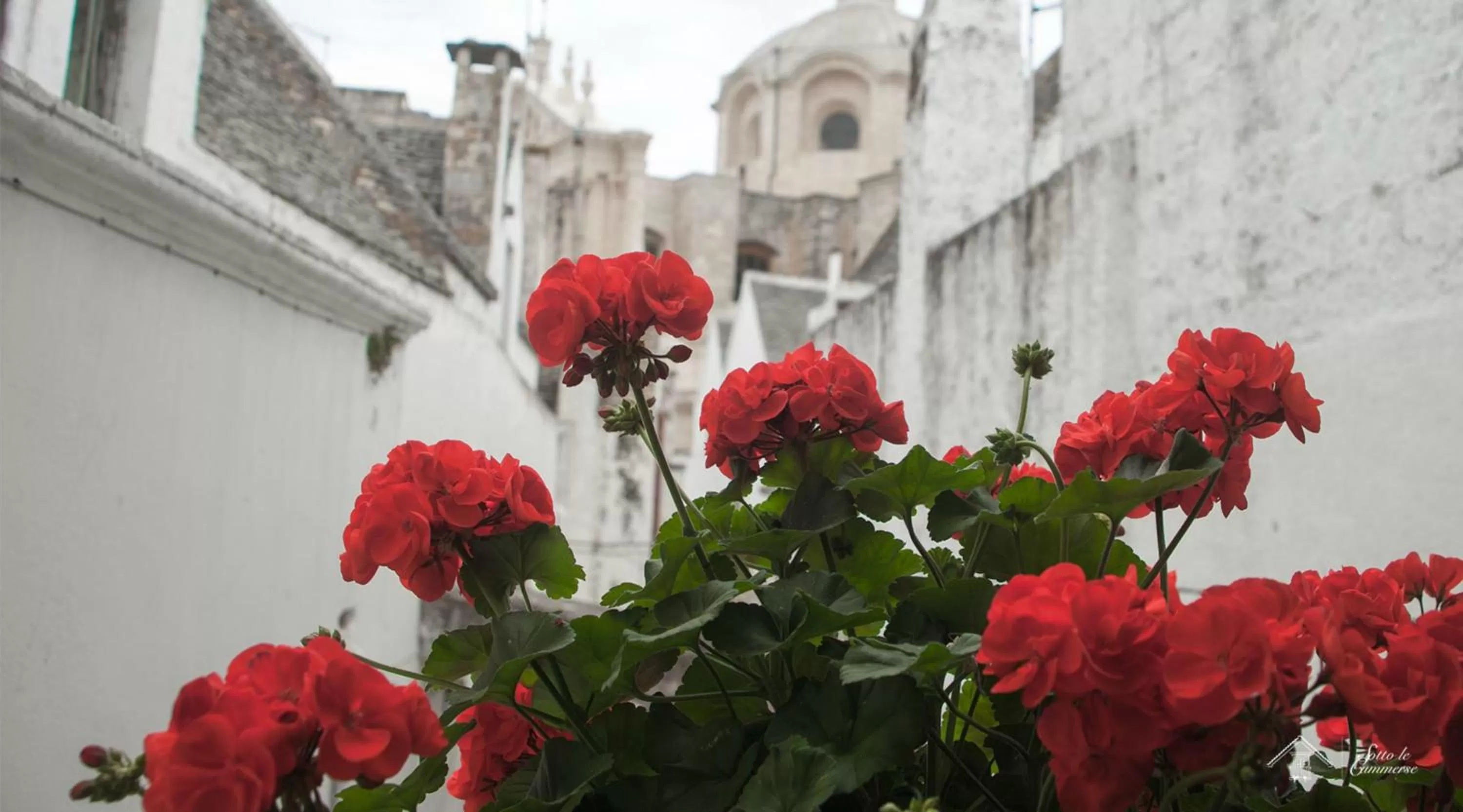 Property building in Albergo Diffuso Sotto le Cummerse
