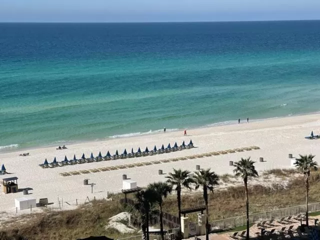 Shores of Panama Resort