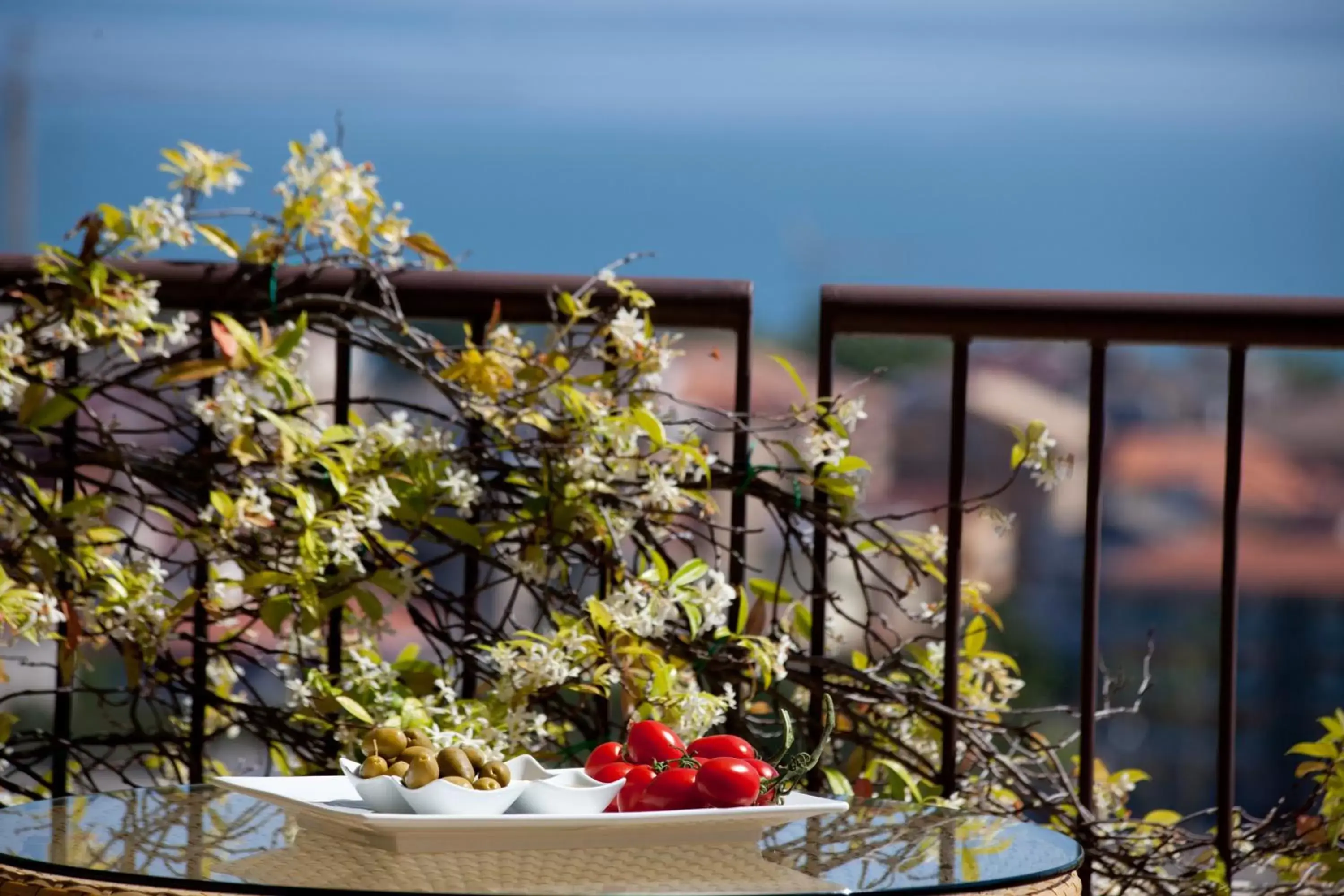 Balcony/Terrace in Villa Maria Hotel & SPA