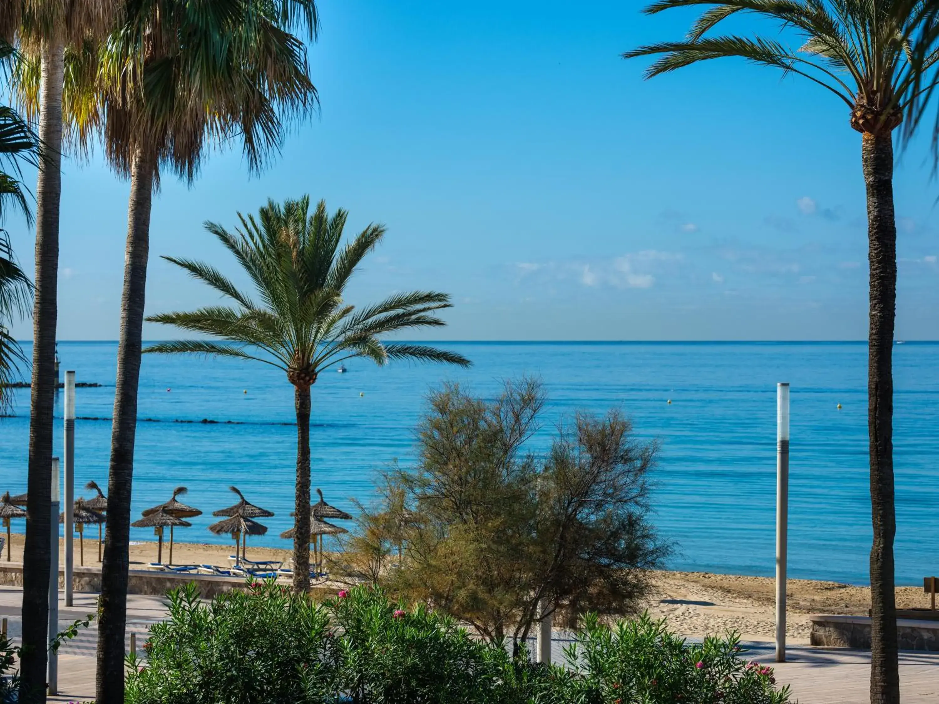 Sea View in Hotel Ciutat Jardi