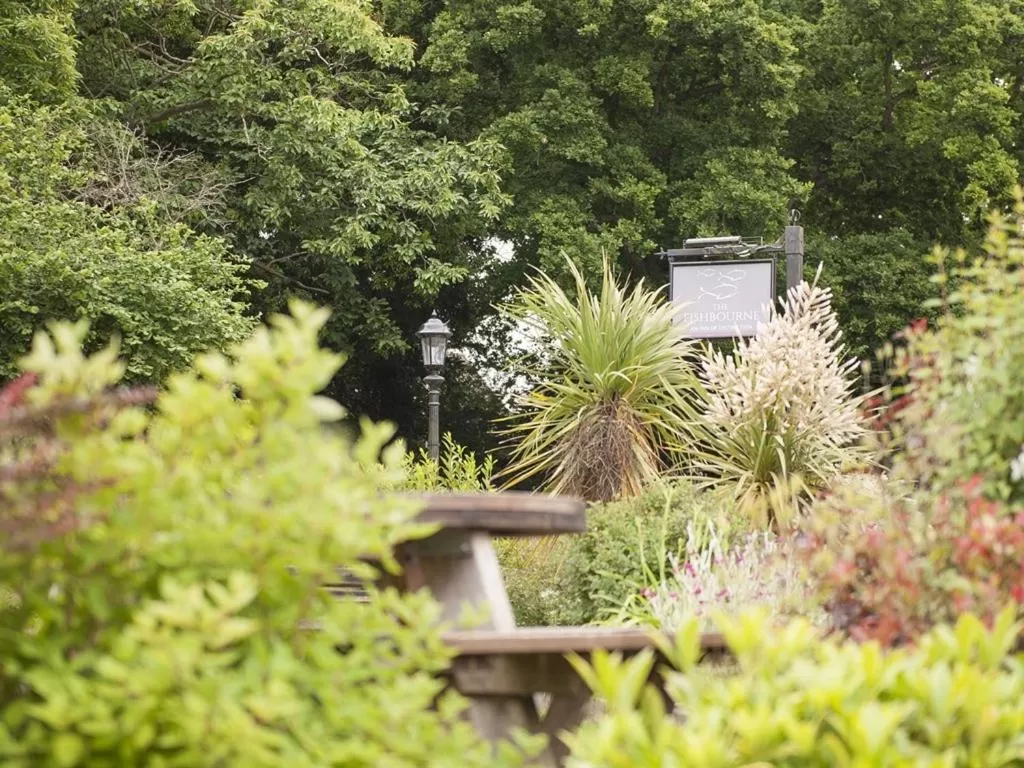 Property building in The Fishbourne