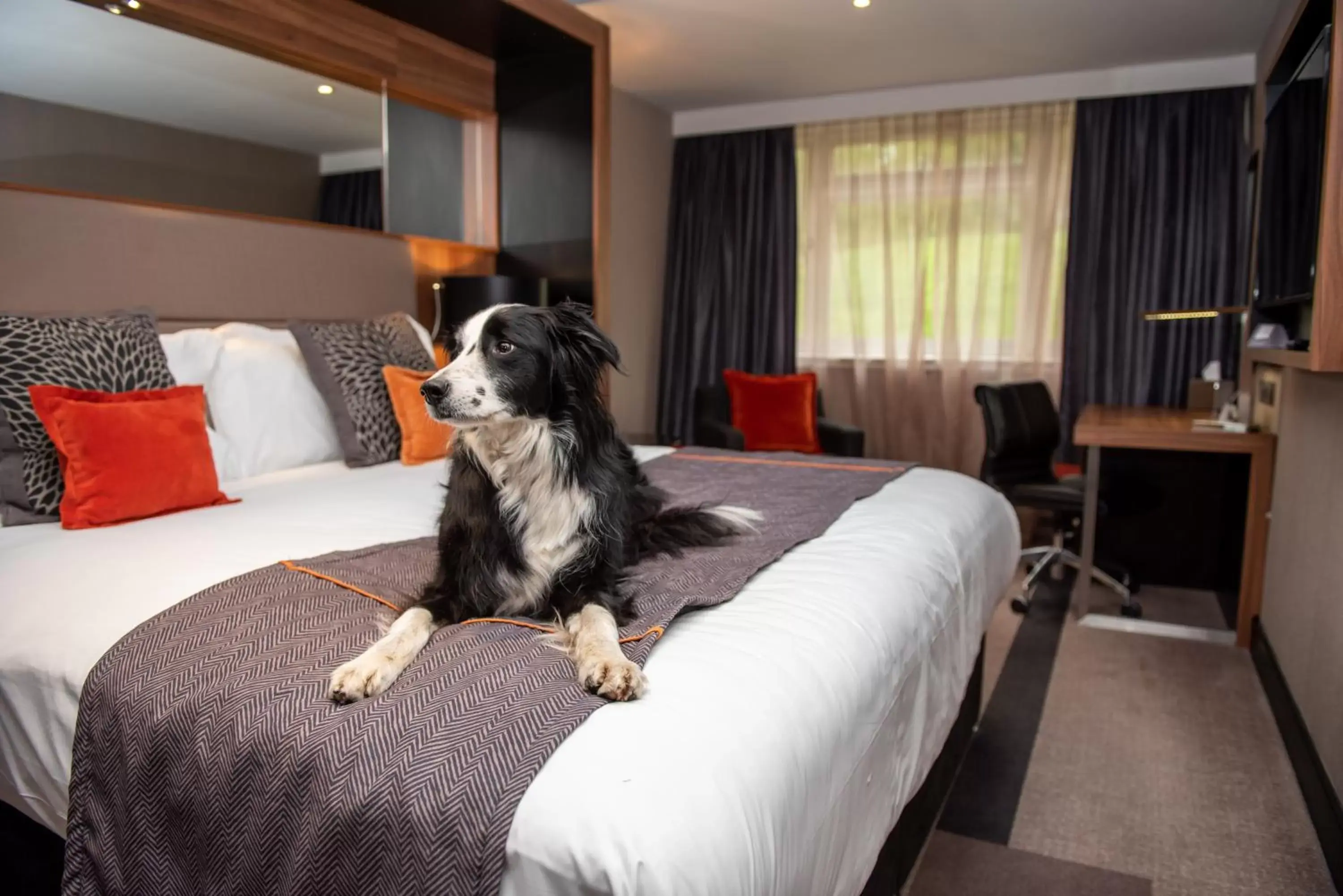 Bedroom, Pets in Crowne Plaza Gerrards Cross, an IHG Hotel