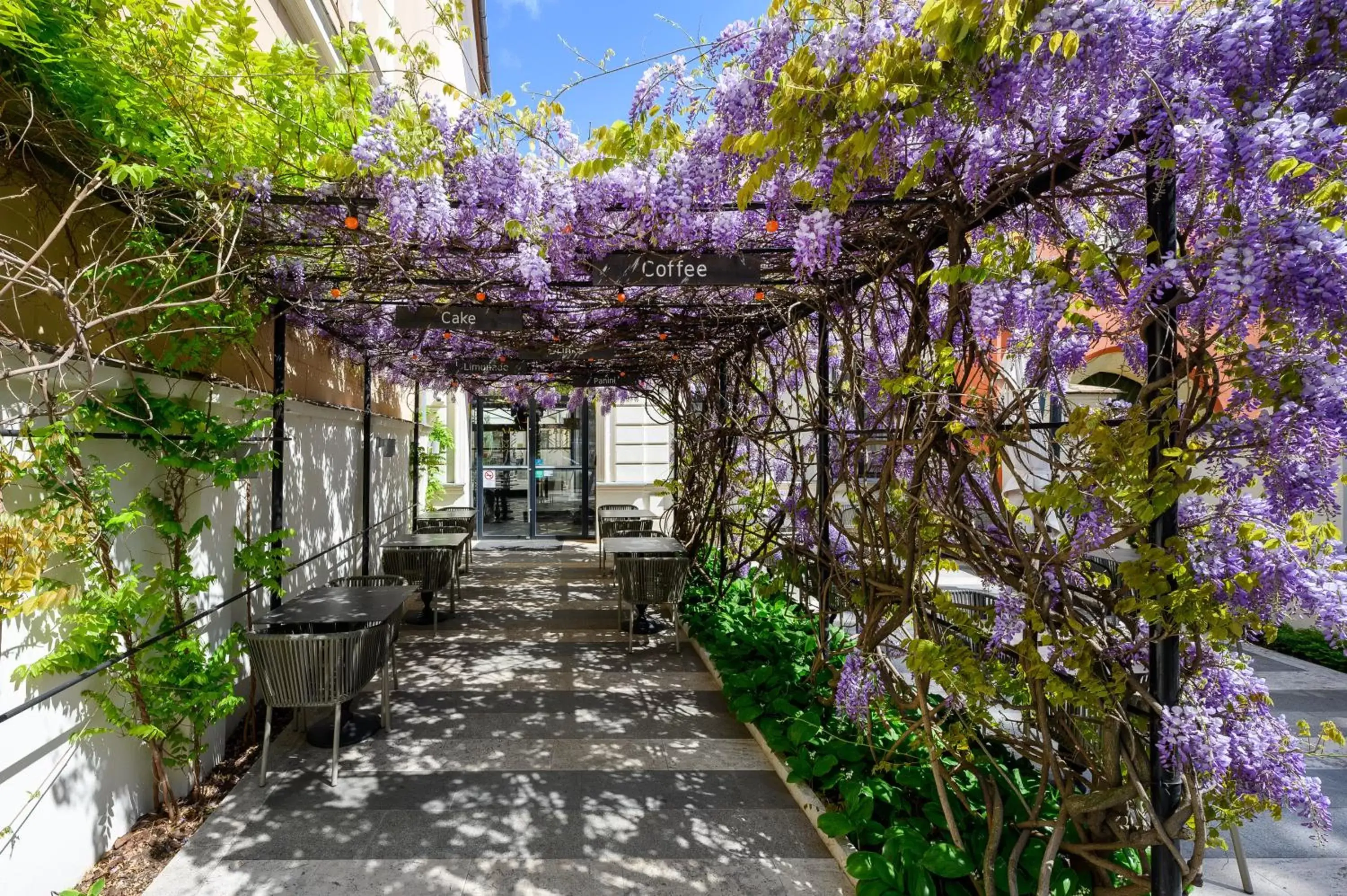 Patio in Maison Bistro & Hotel