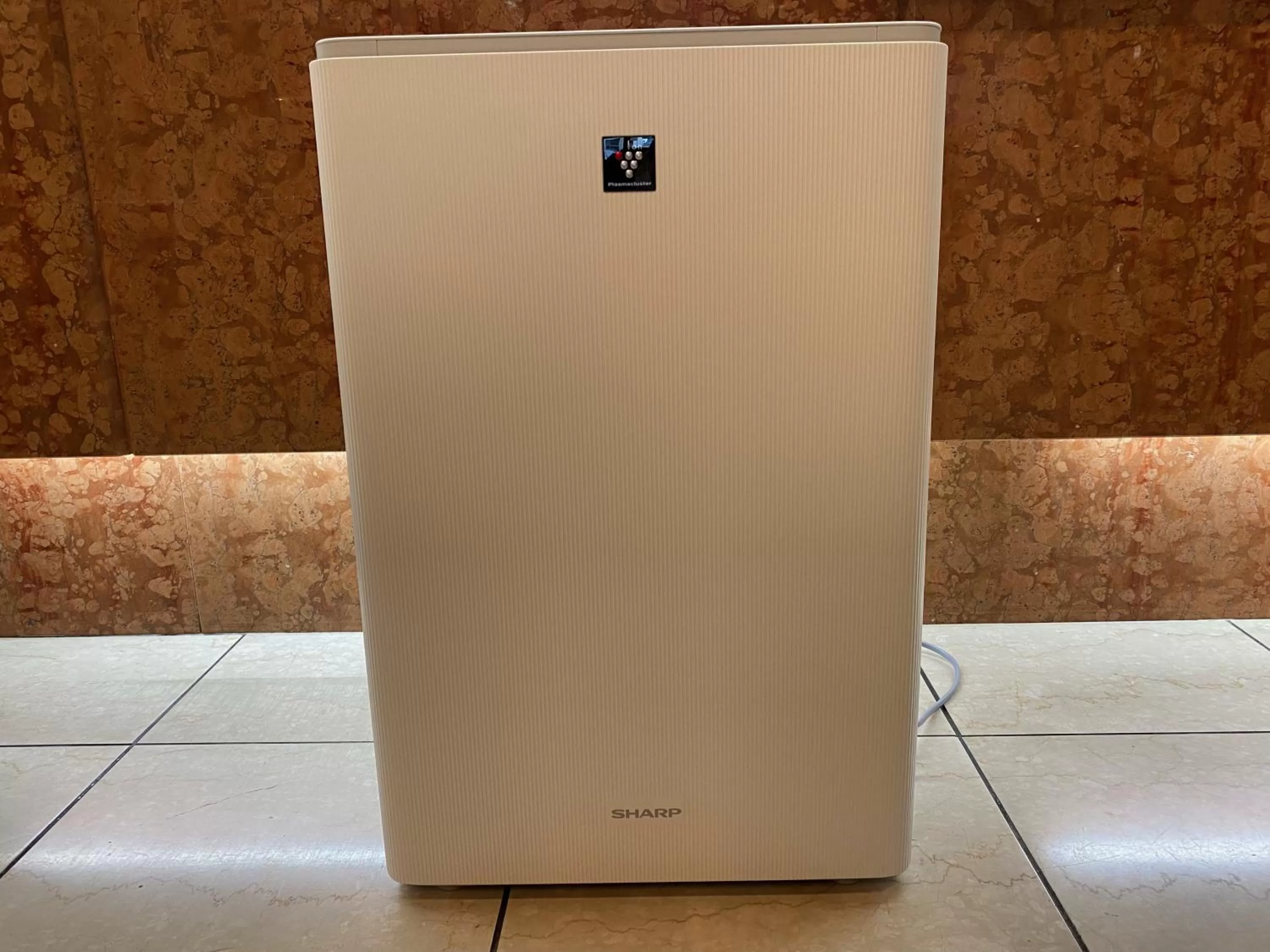 Area and facilities in Oita Regal Hotel