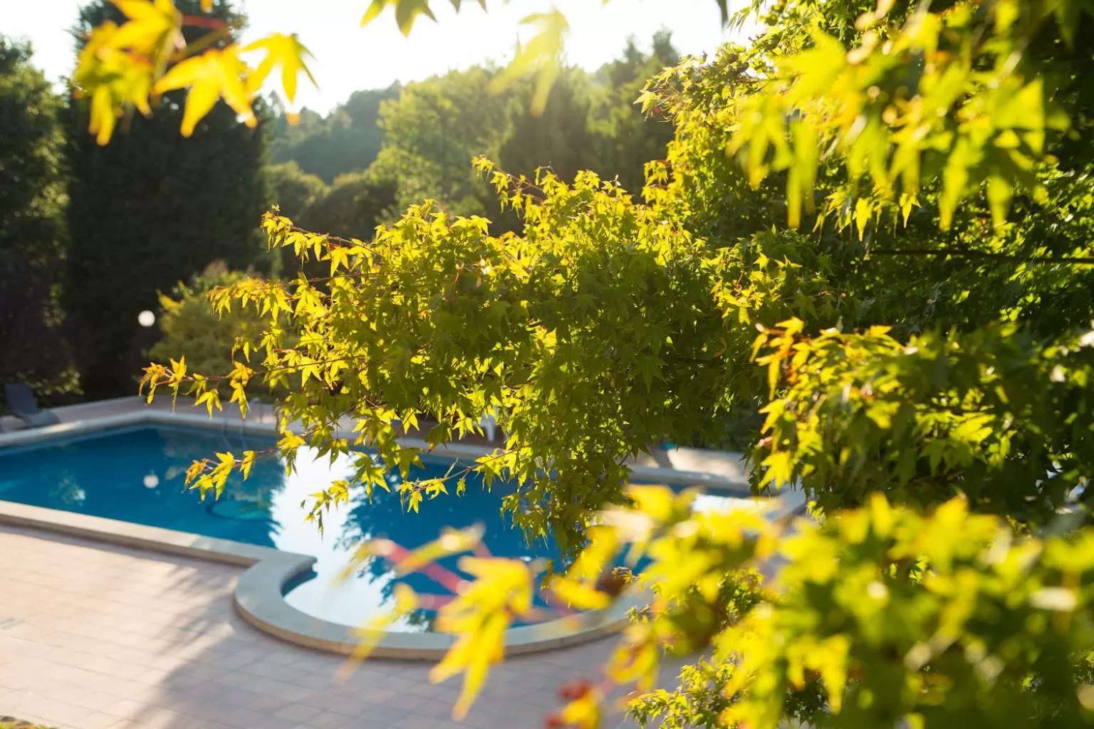 Garden view in Casa a Pedreira Rias Baixas