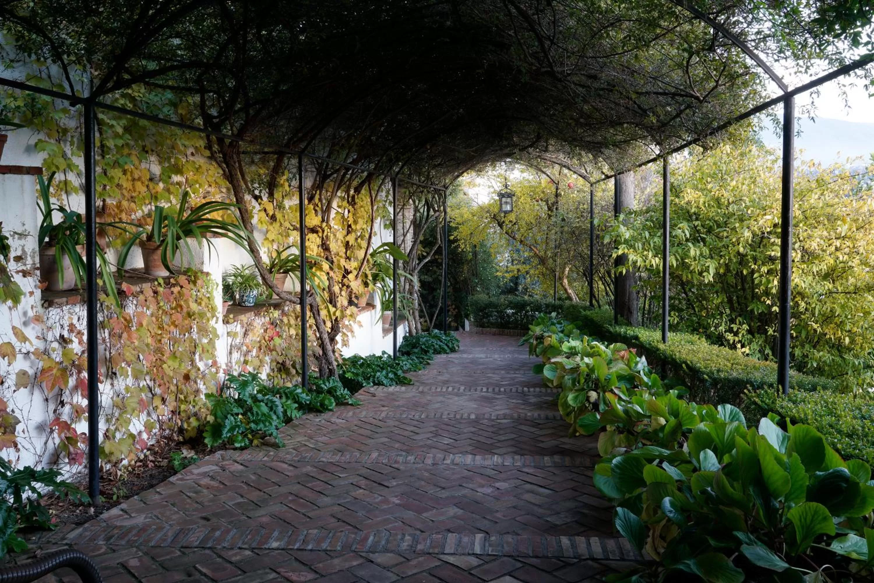 Lobby or reception in Carmen de la Alcubilla del Caracol