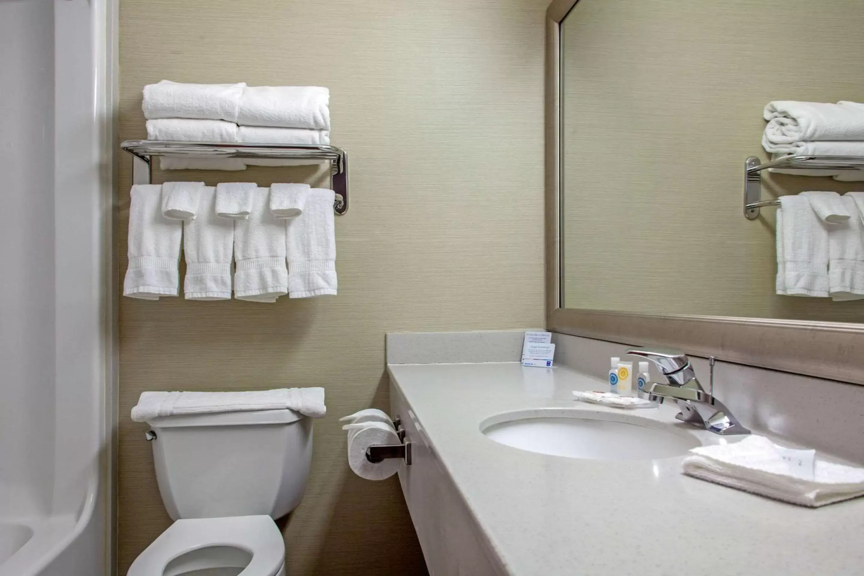 Bathroom in Comfort Inn & Suites I-25 near Spaceport America