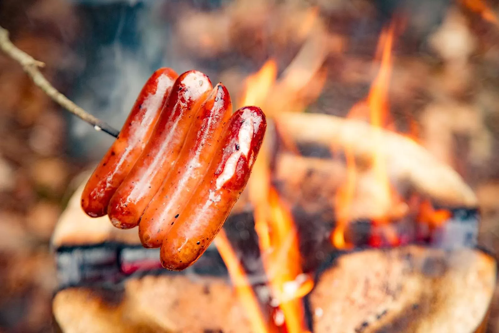 Activities, BBQ Facilities in Hotel El faro