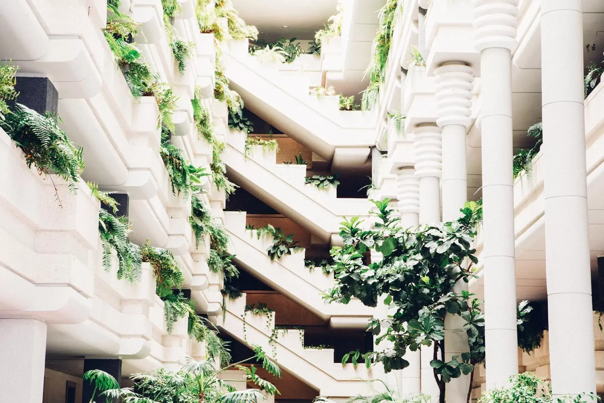 Lobby or reception in Spring Arona Gran Hotel - Adults Only Lobby or reception in Spring Arona Gran Hotel - Adults Only