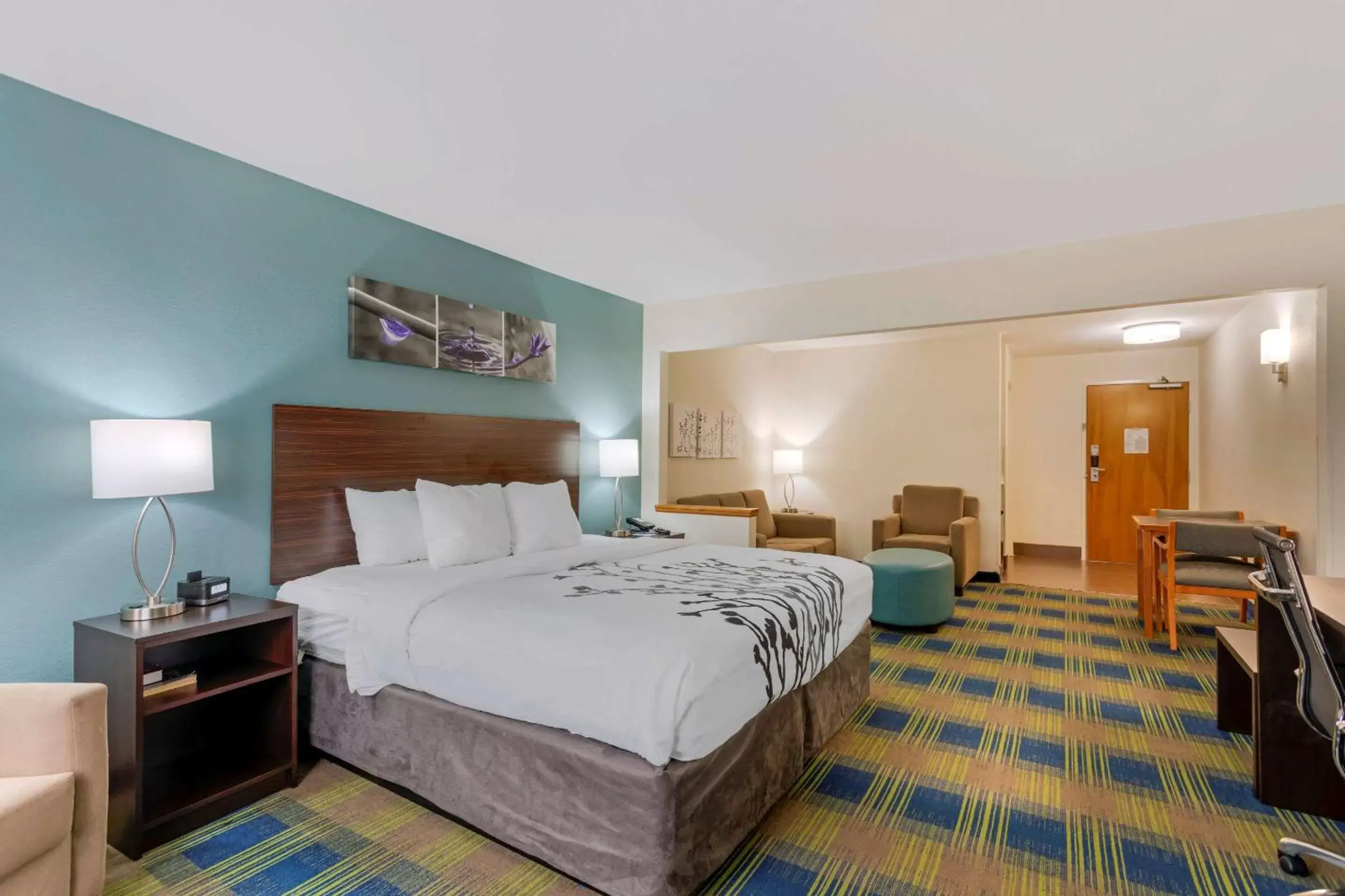 King Suite - Accessible/Non-Smoking in Sleep Inn & Suites Smyrna – Nashville King Suite - Accessible/Non-Smoking in Sleep Inn & Suites Smyrna – Nashville