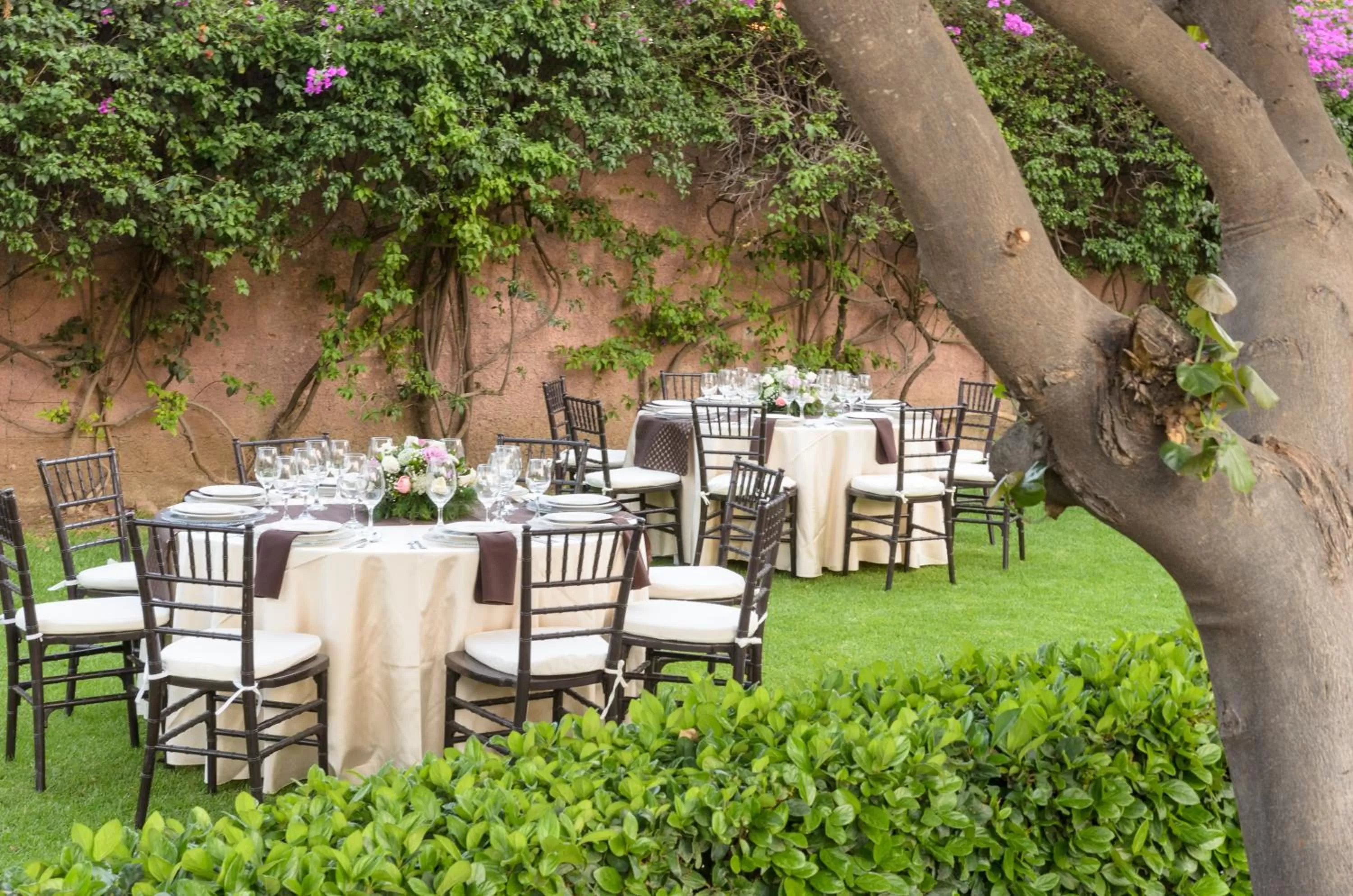 Hotel San Francisco Leon