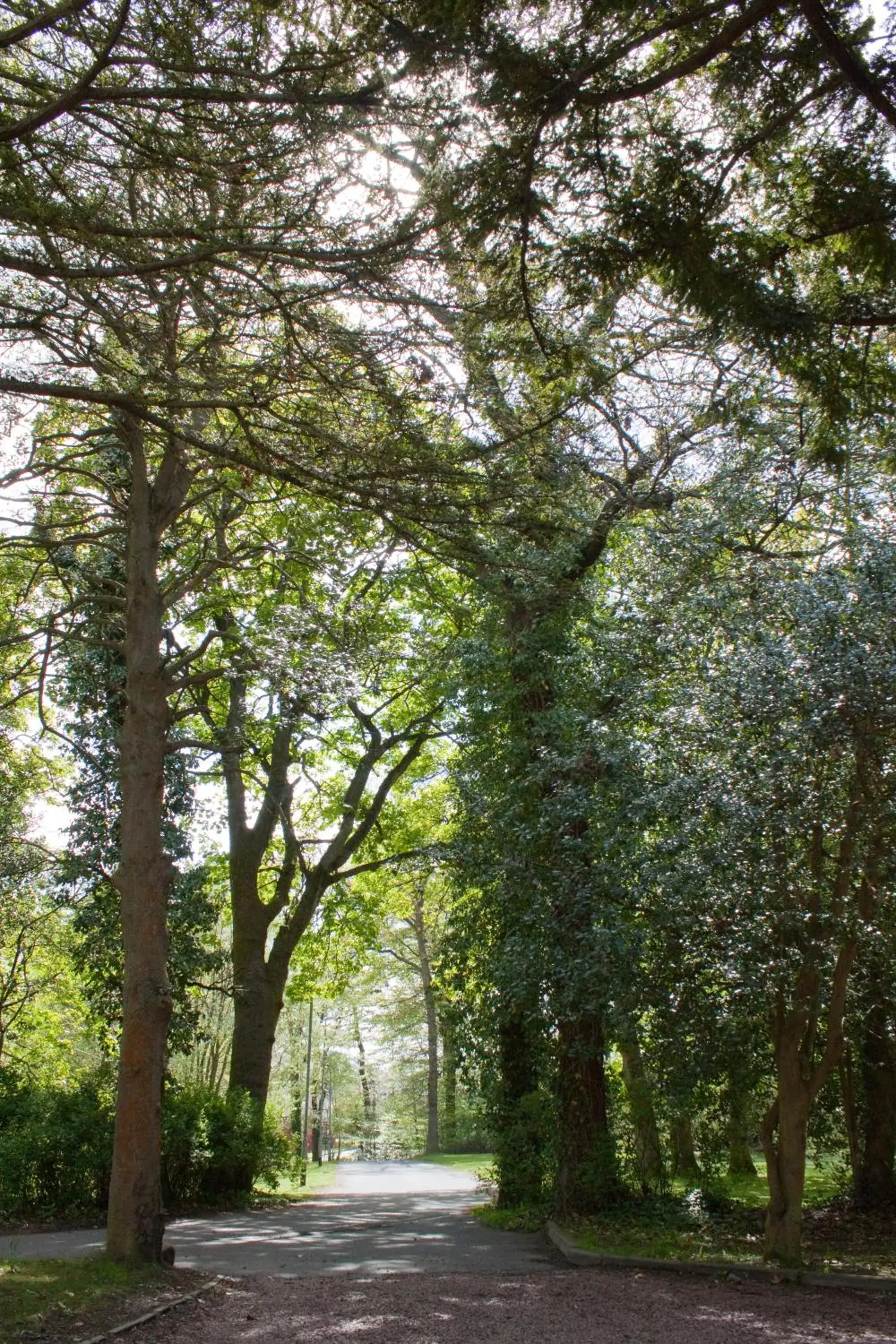 Garden in Bankton House Hotel