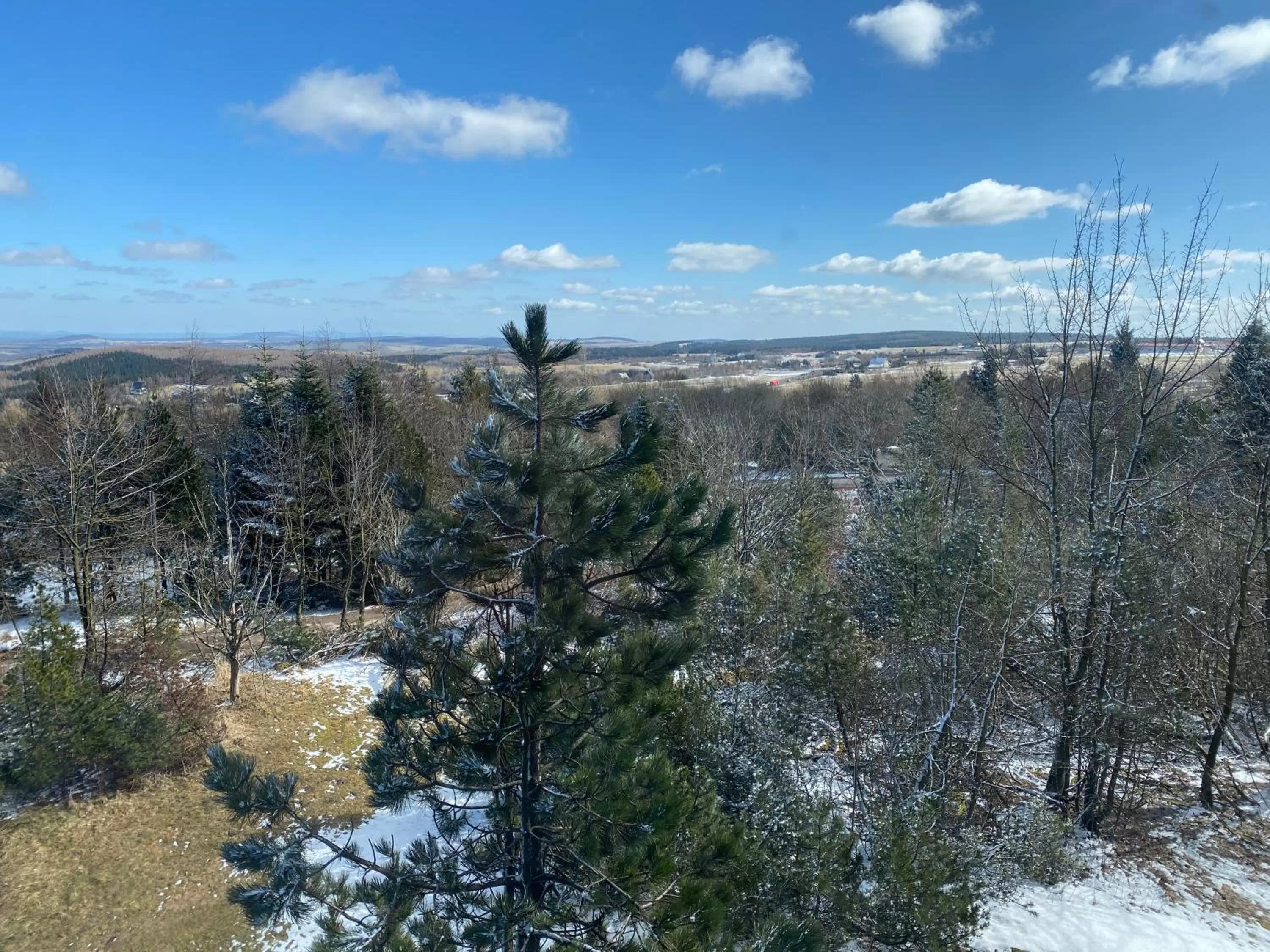 Natural landscape in Hotel Lugsteinhof