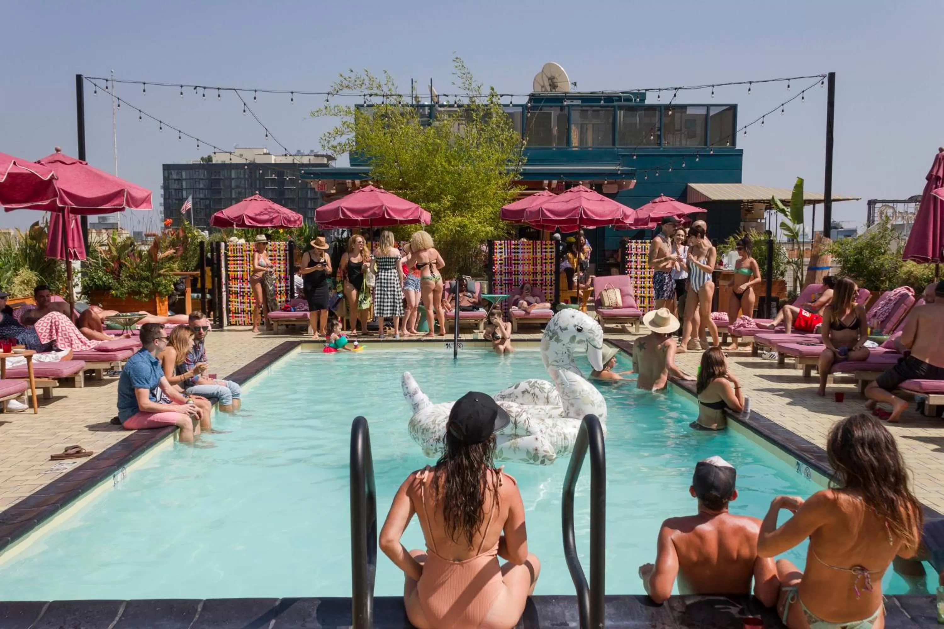 Swimming pool in Freehand Los Angeles