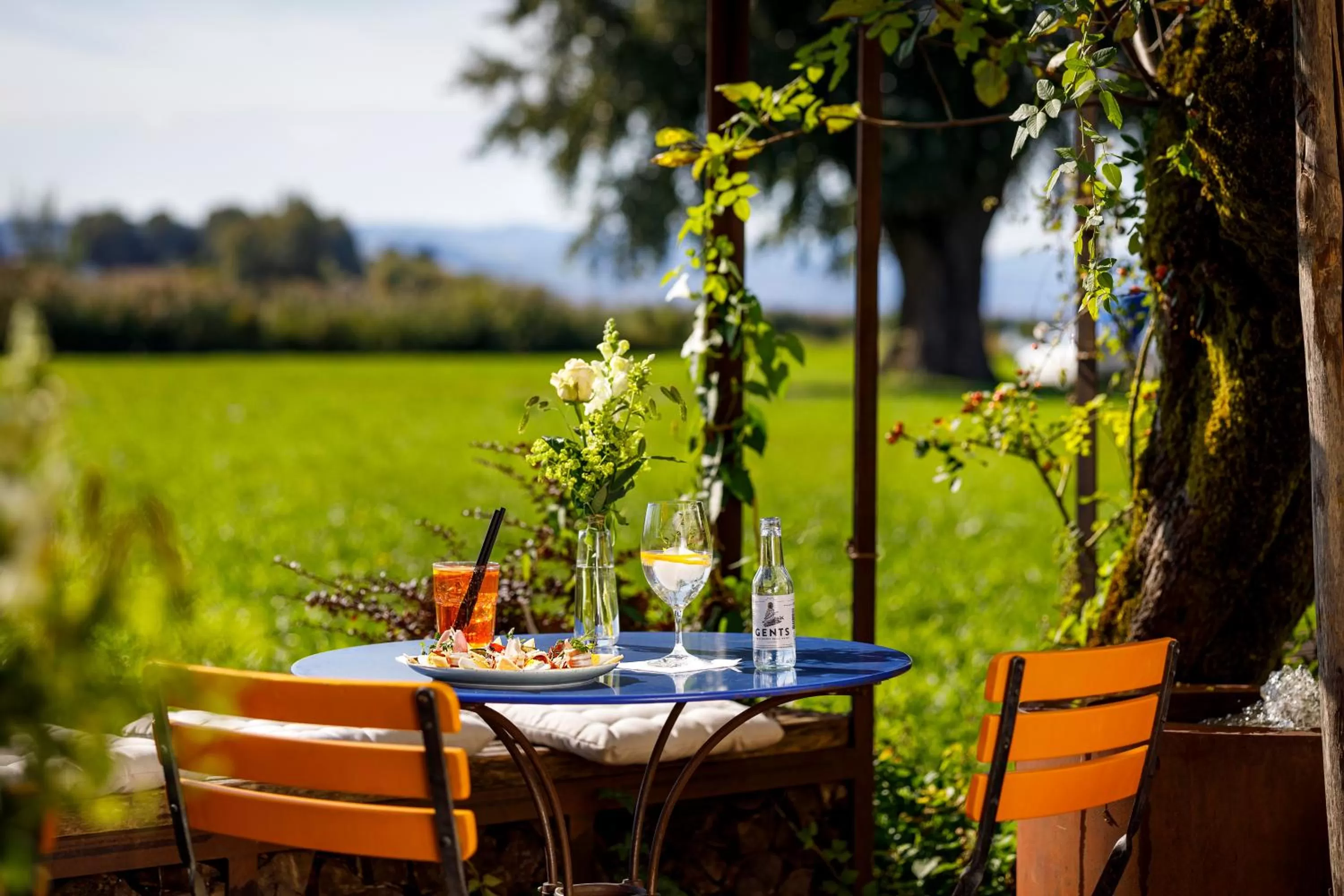 Garden in Hotel Restaurant Schiff