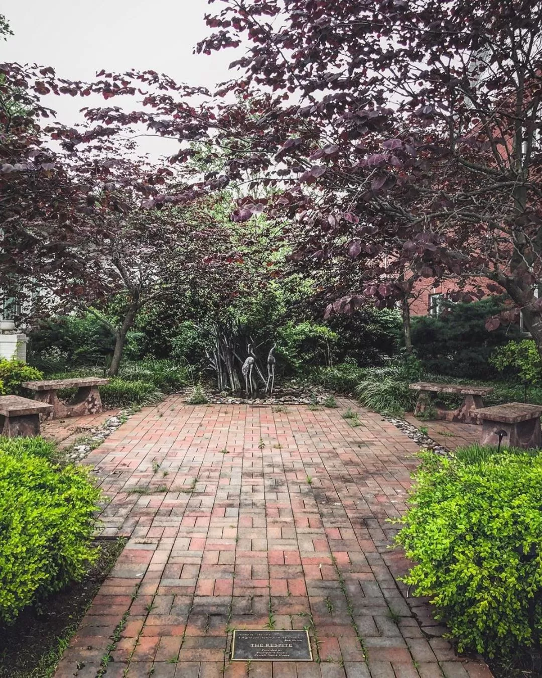 Garden in The Respite - Bed and Breakfast