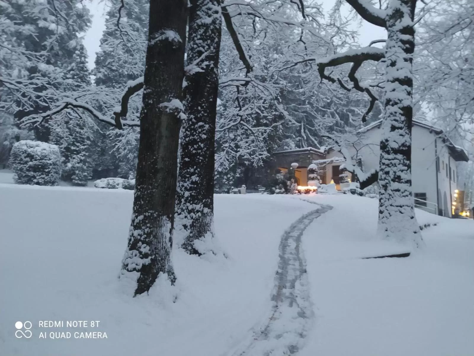 Natural landscape in "La Selvetta" bed and breakfast