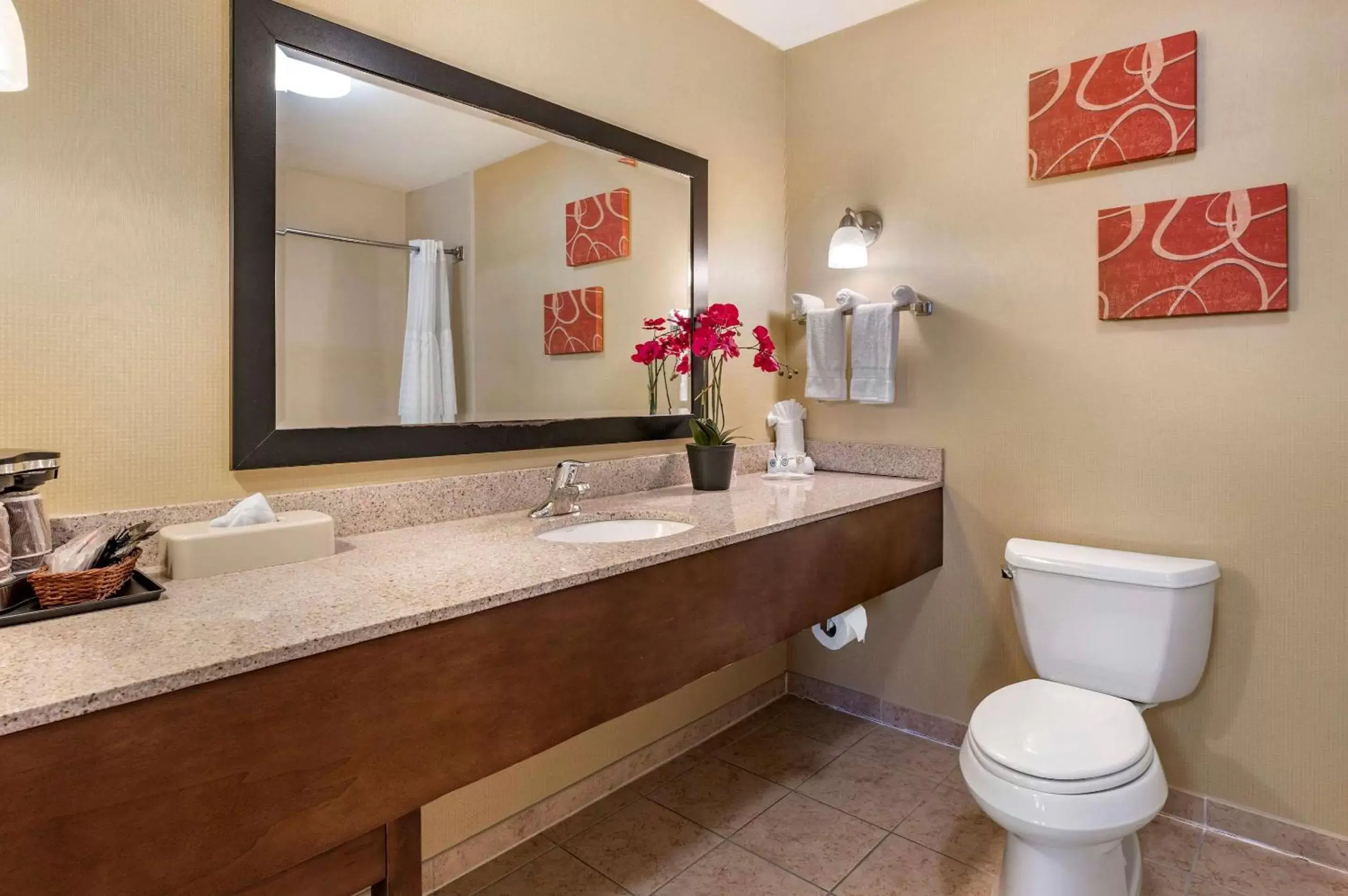 Photo of the whole room, Bathroom in Comfort Suites Urbana Champaign, University Area