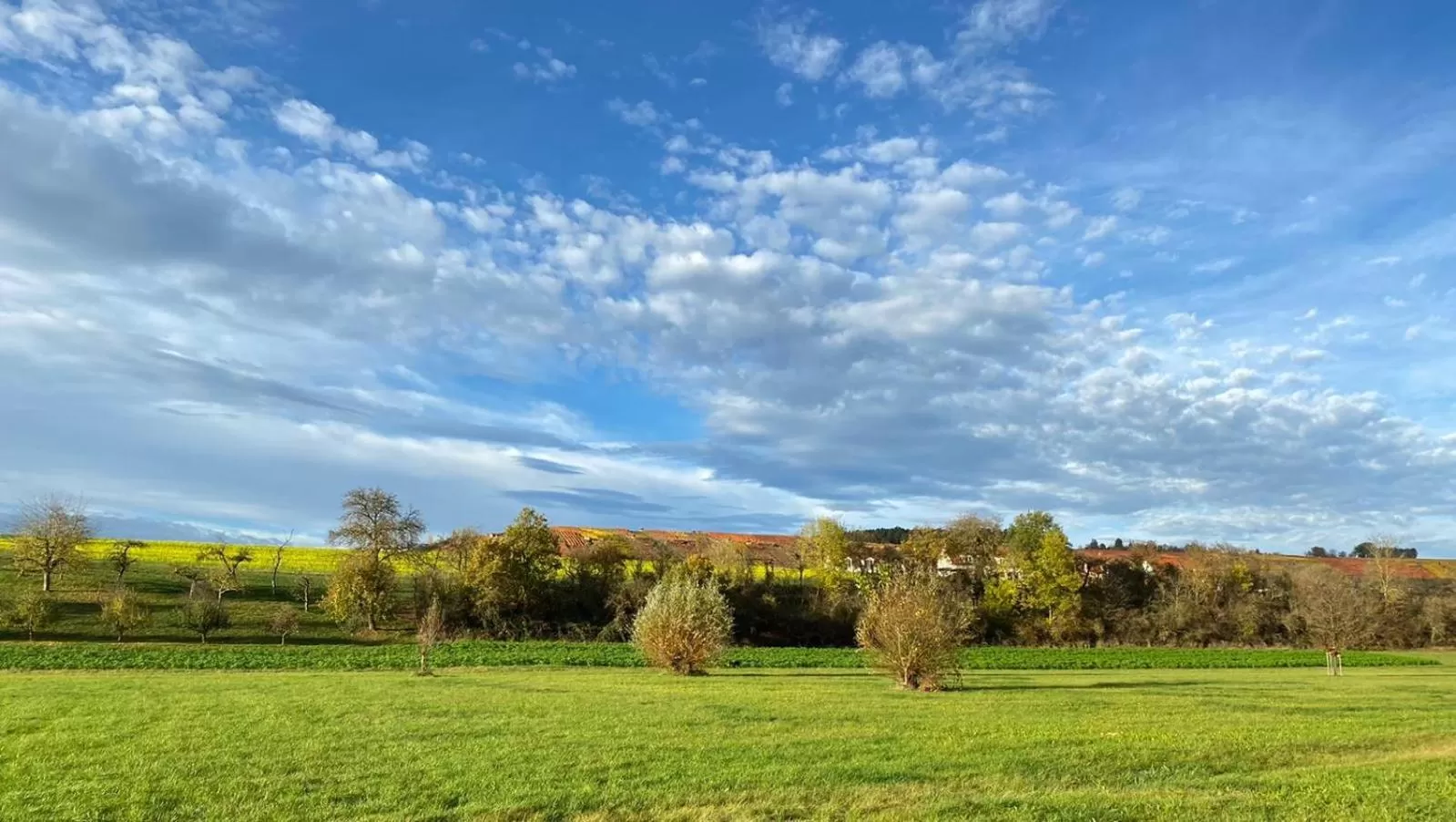 Hotel Restaurant Lamm Rosswag