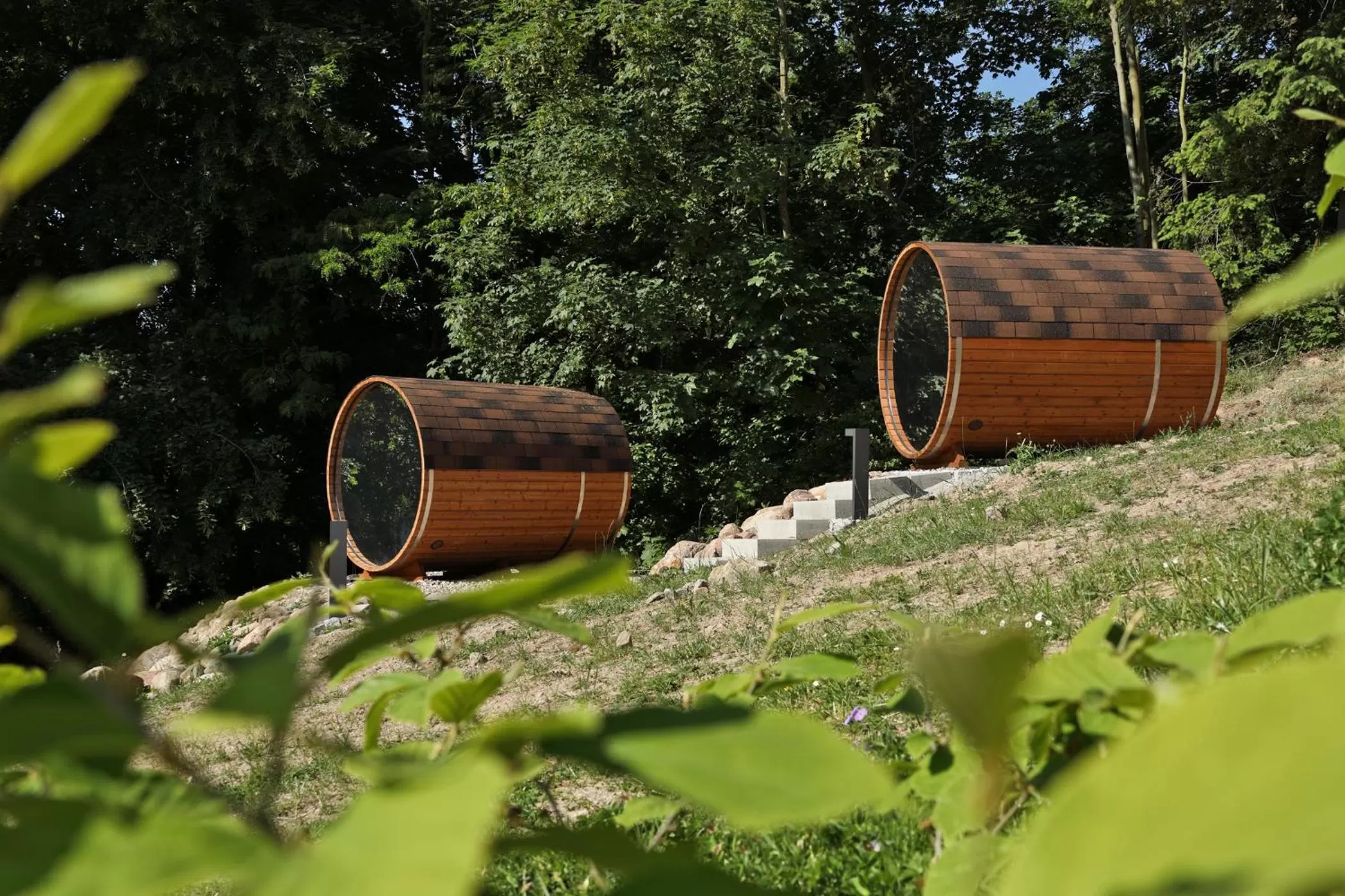 Sauna in Spa Hotel Amsee