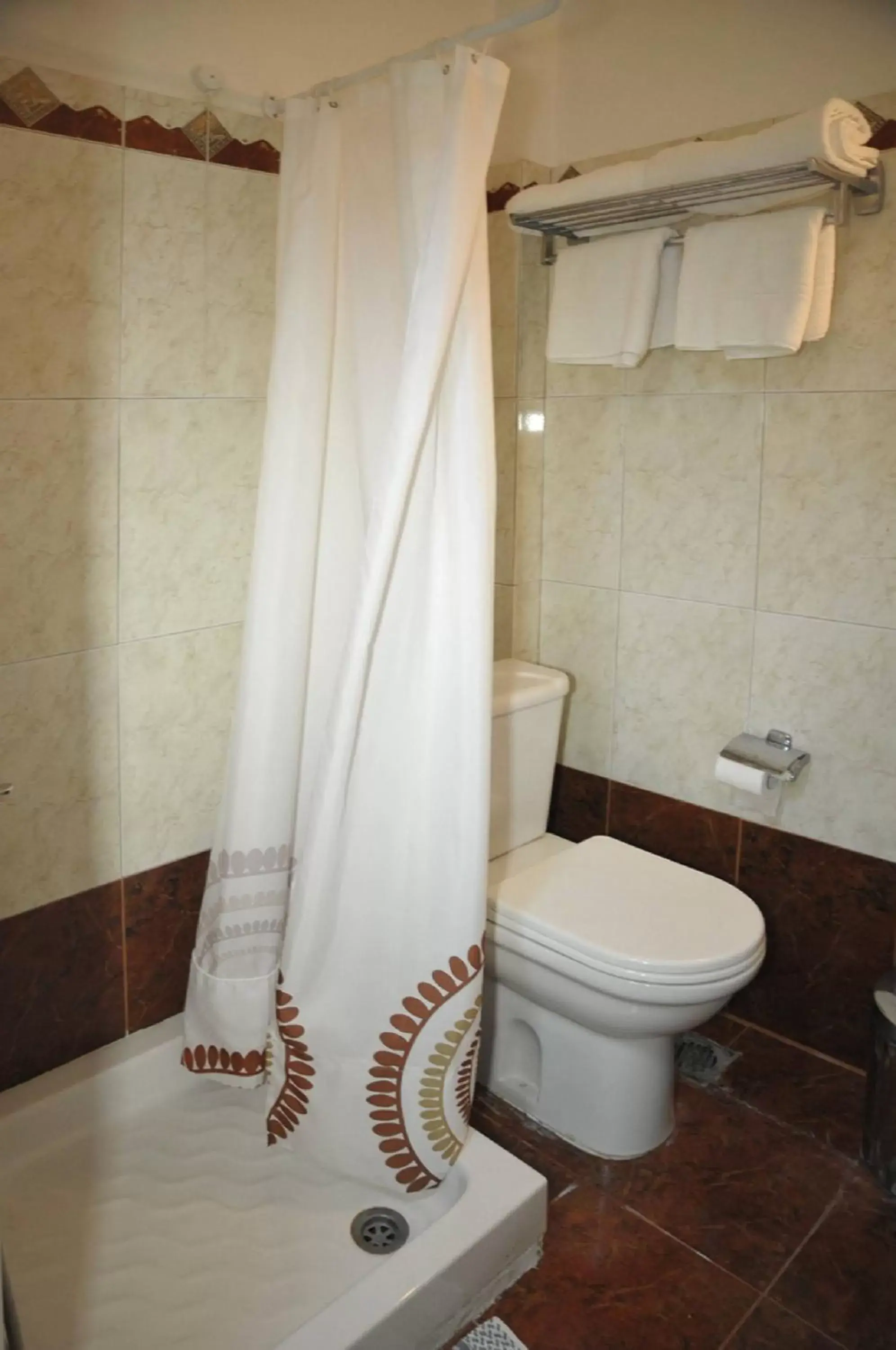 Bathroom in Hotel Anesi