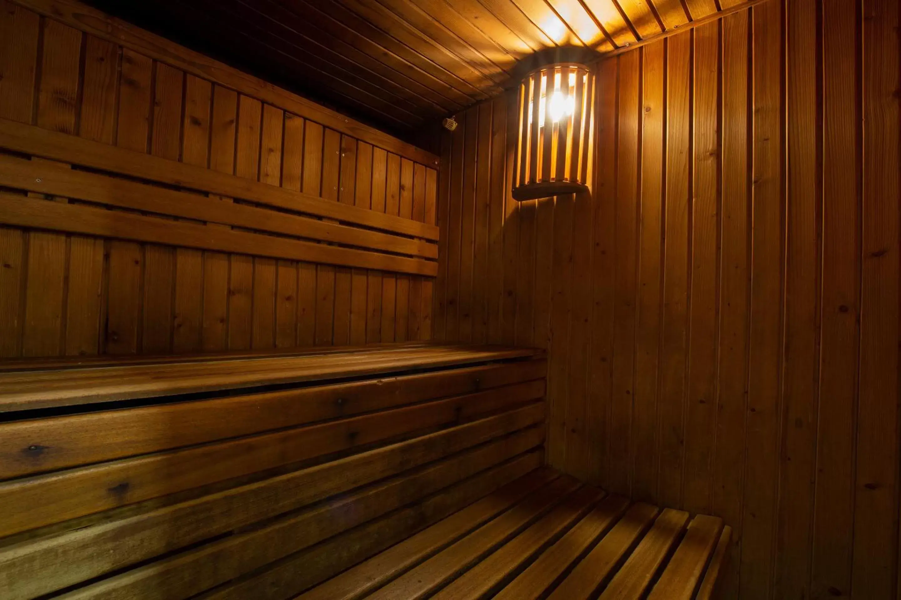 Sauna in Hotel Màgic Pas