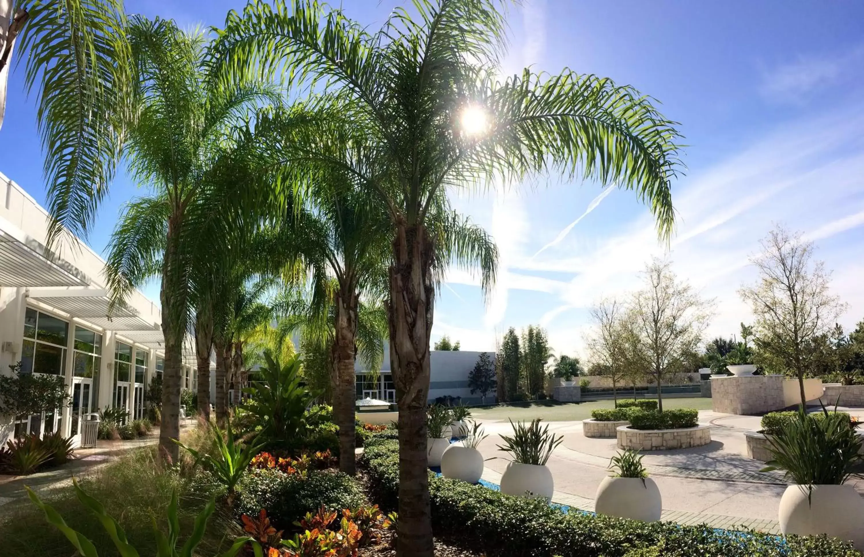 Meeting/conference room, Garden in Hilton Orlando