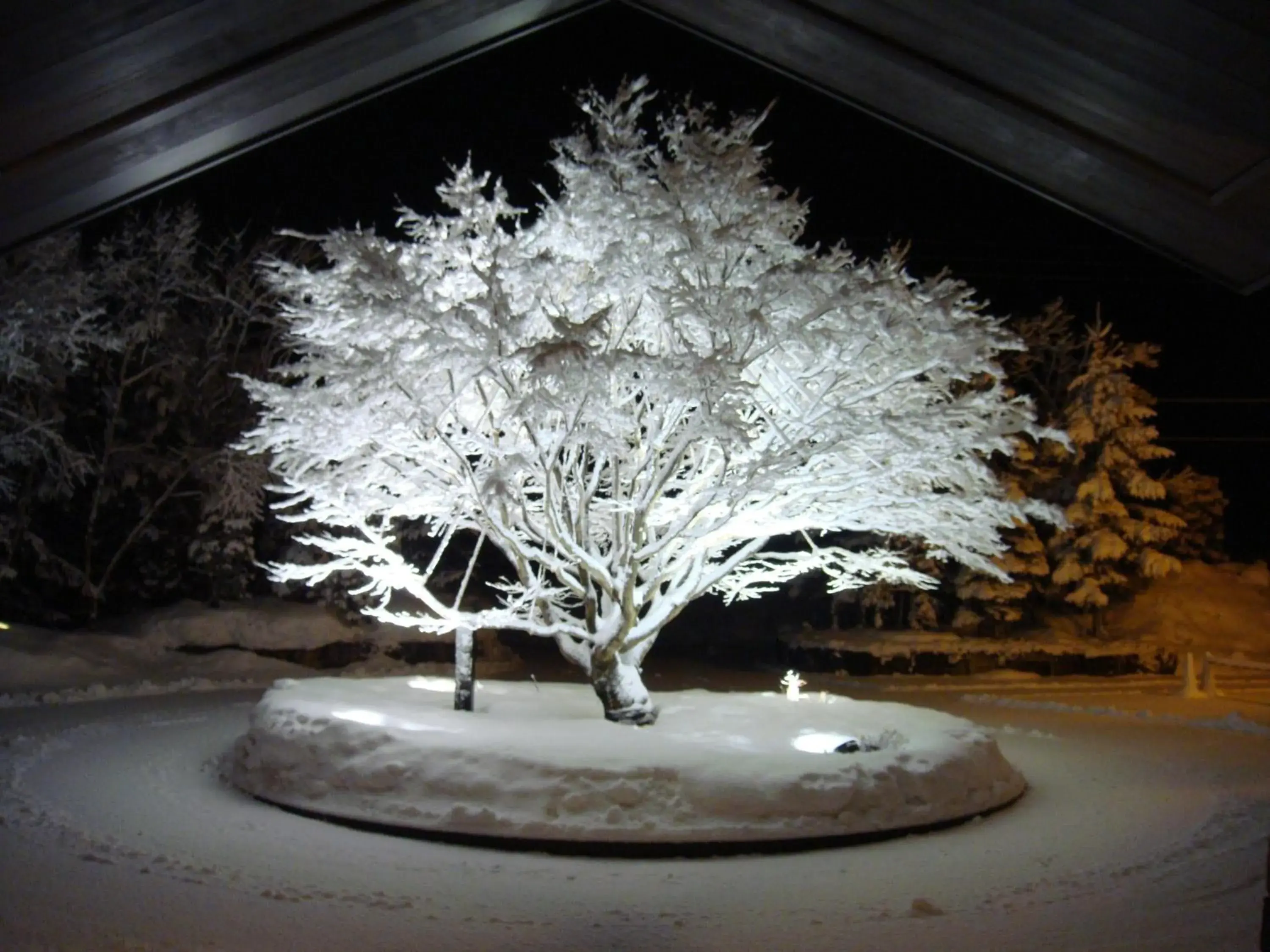 Facade/entrance in Sun Members Hirugano Facade/entrance in Sun Members Hirugano