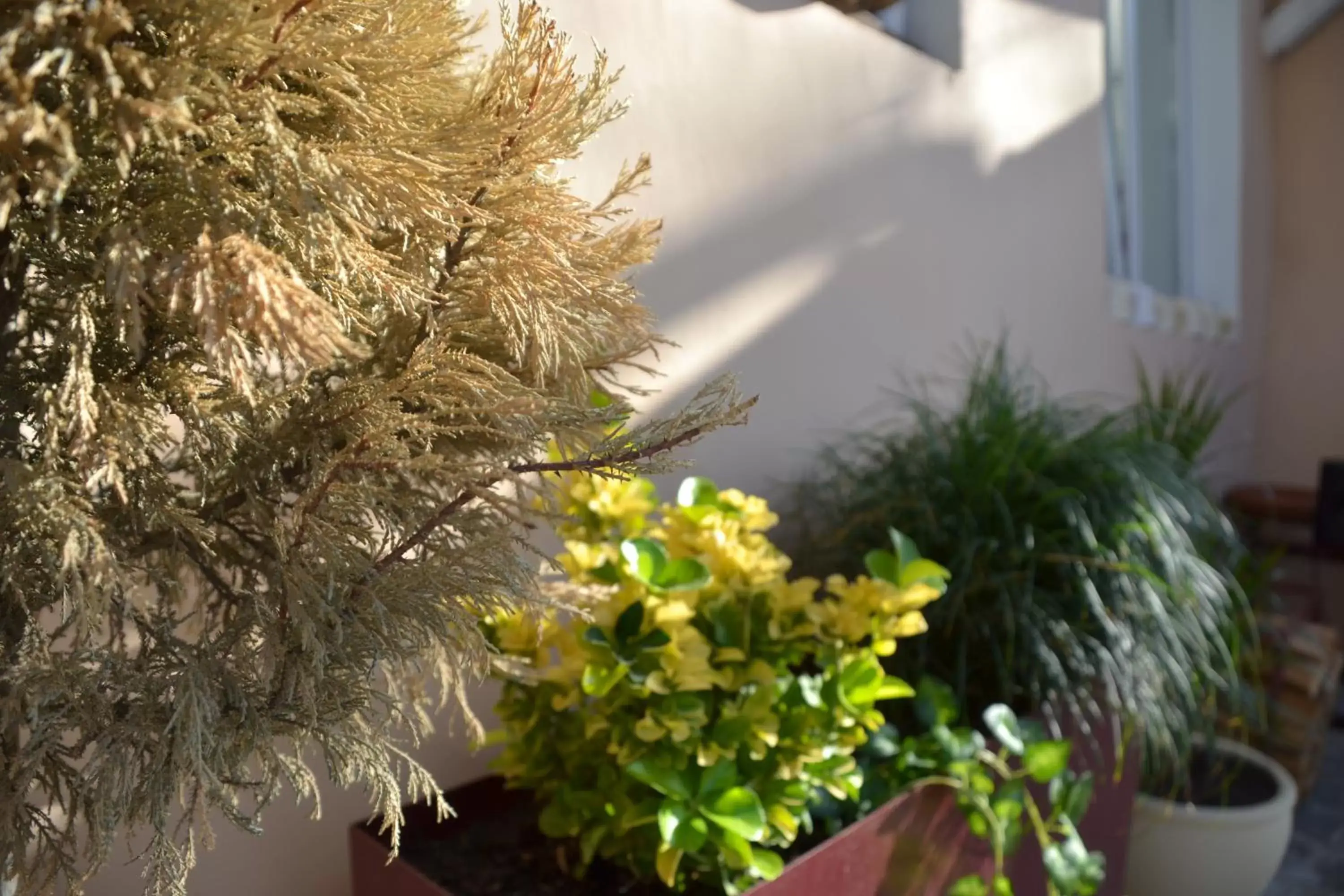 Restaurant/places to eat in Gvino Minda Restaurant/places to eat in Gvino Minda