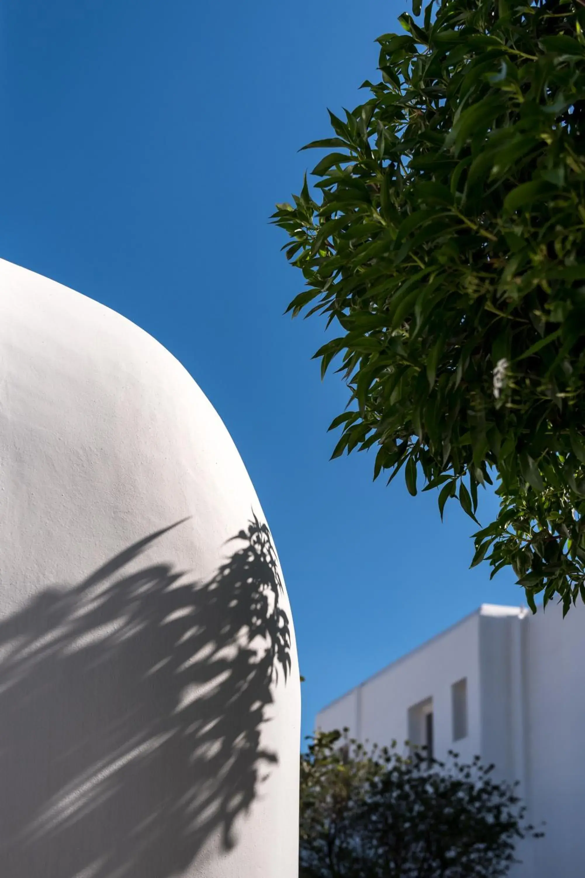 Garden in A Hotel Mykonos