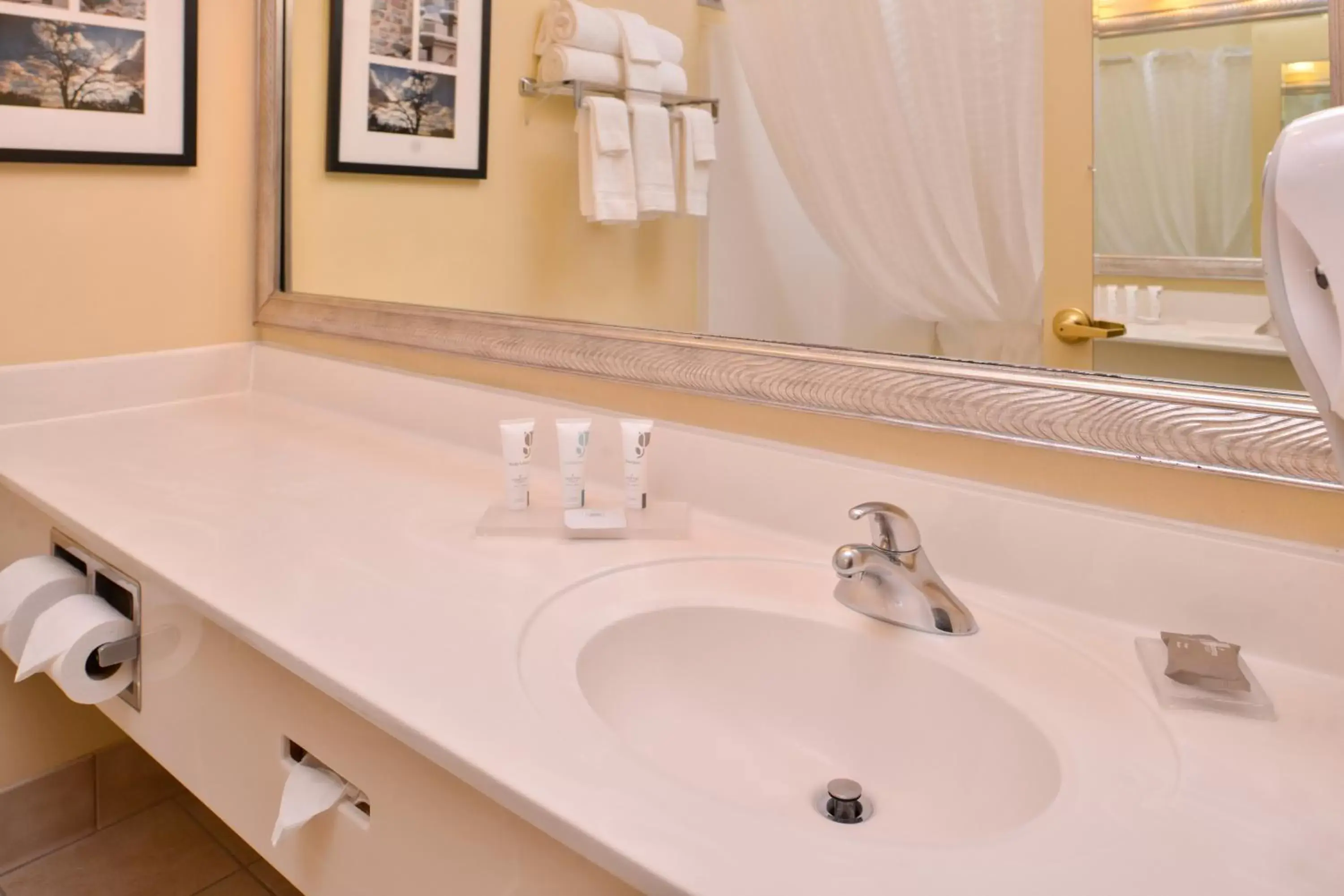 Bathroom in Country Inn & Suites by Radisson, Omaha Airport, IA