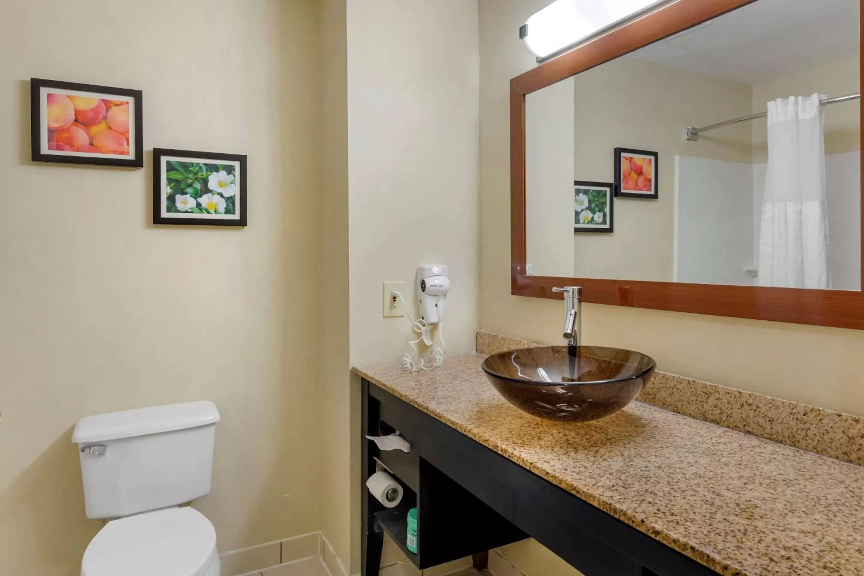 Photo of the whole room, Bathroom in Comfort Inn & Suites