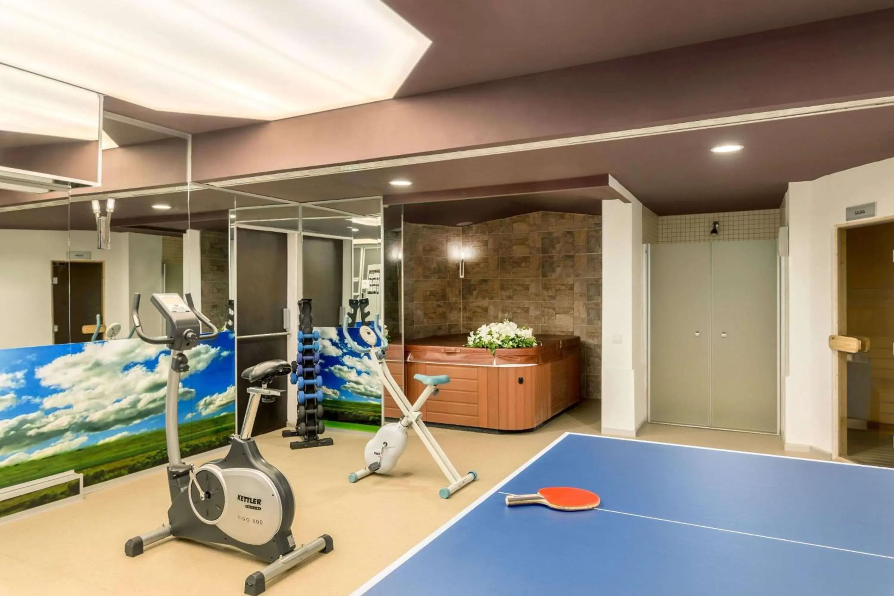 Fitness centre/facilities in Ramada Ankara