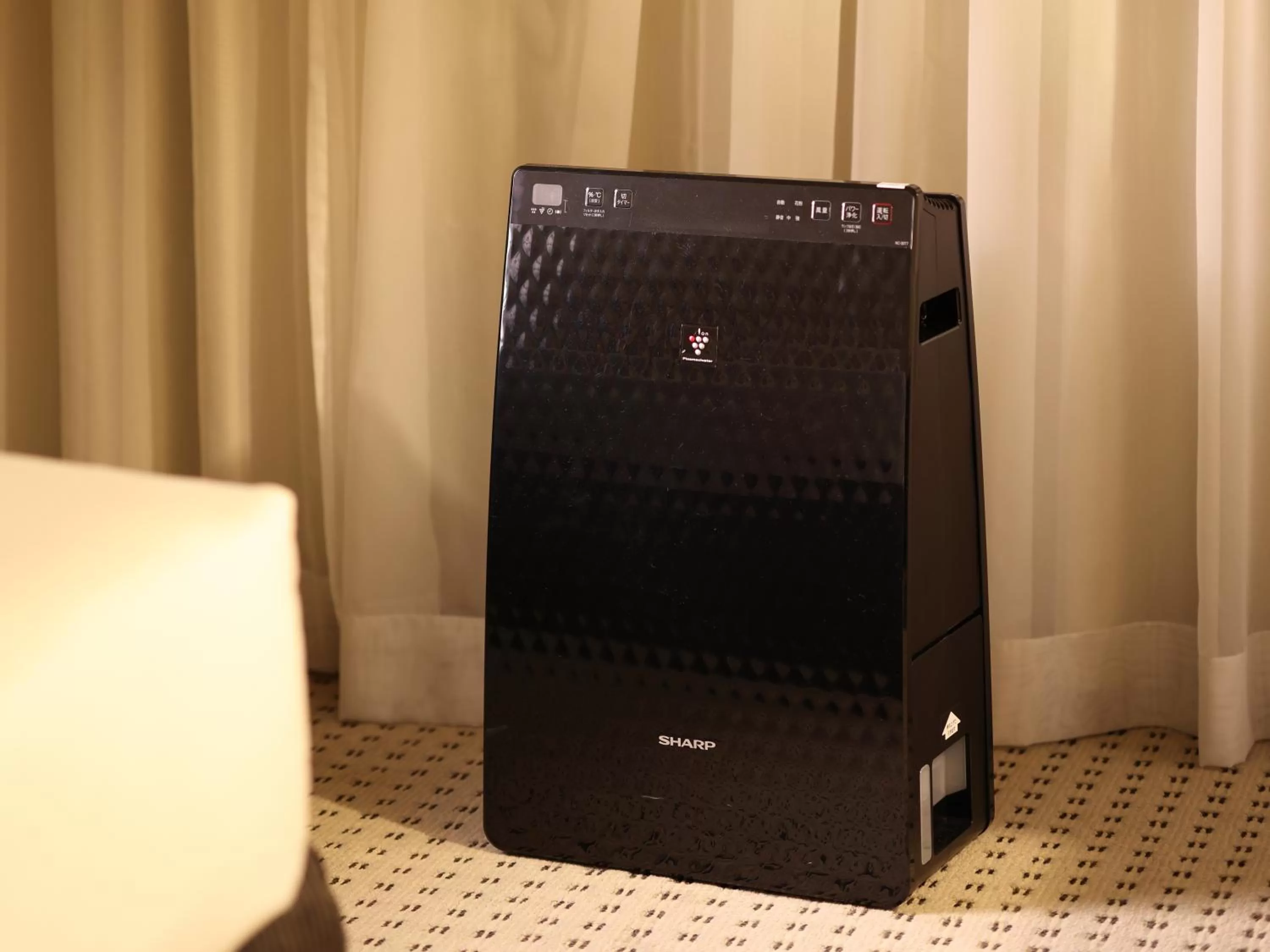 Other in ANA Crowne Plaza Narita by IHG