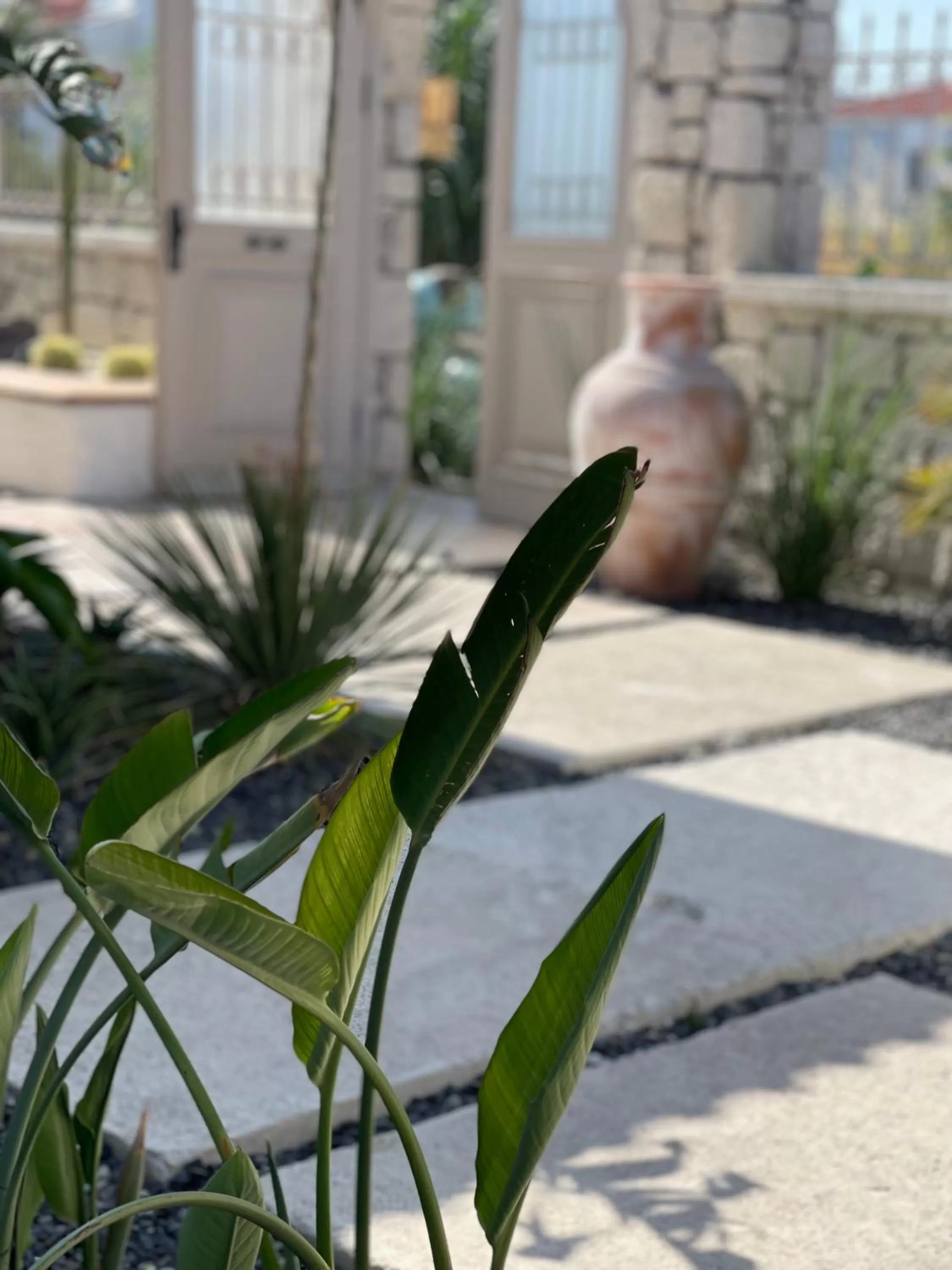 Garden in Voger Alaçatı Silence