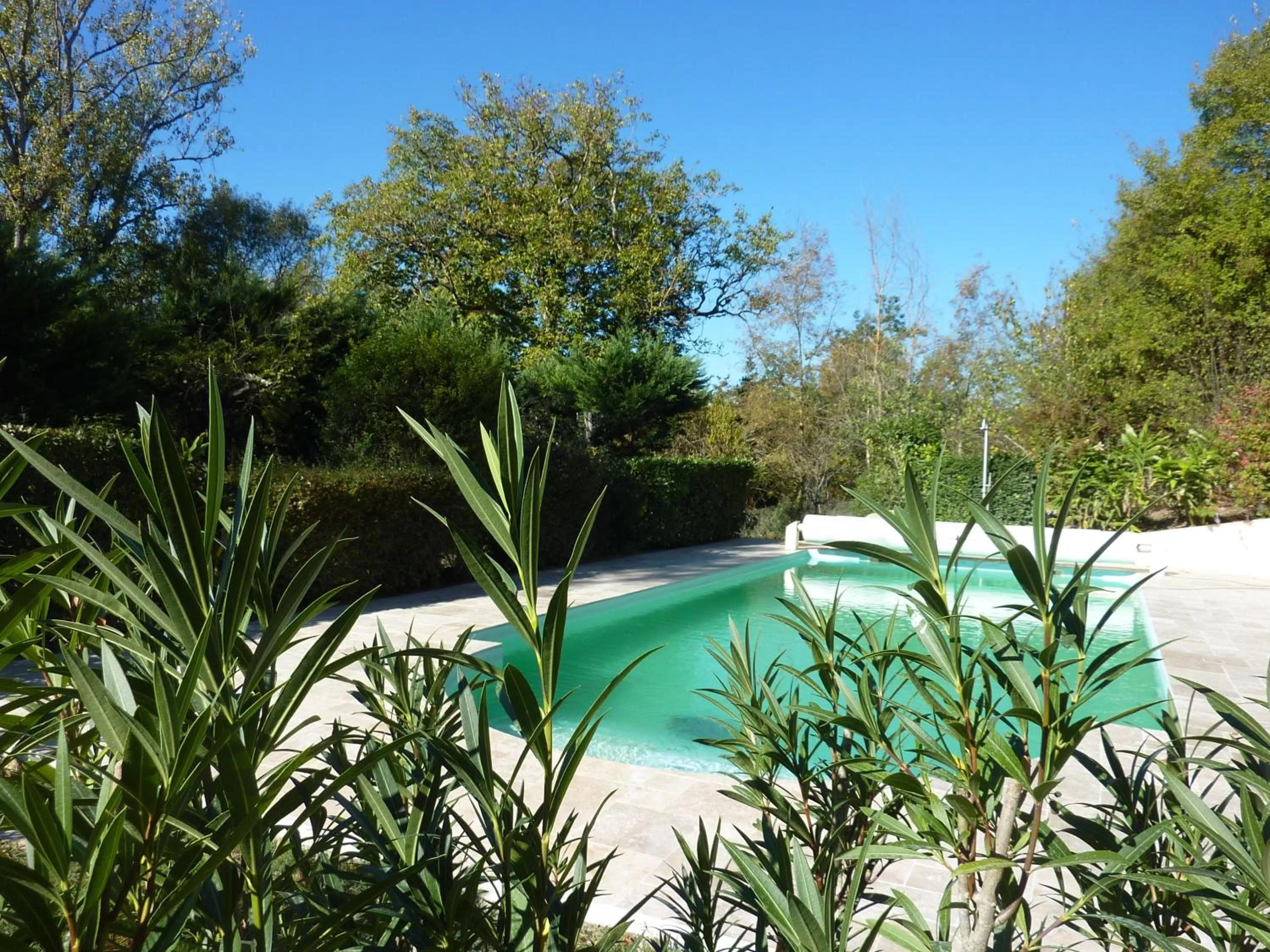 Pool view, Swimming Pool in Beaux Chênes