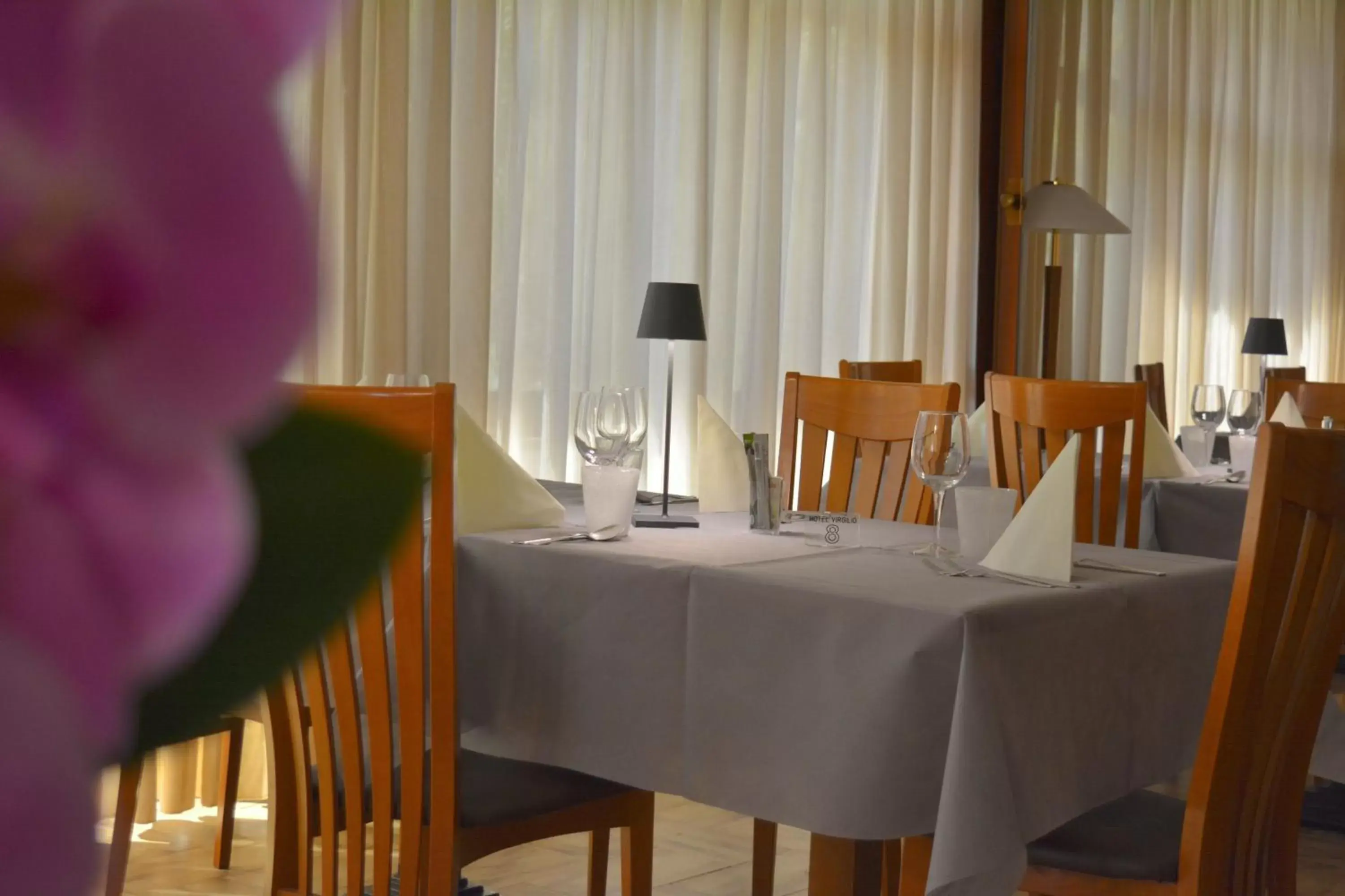 Restaurant/Places to Eat in Hotel Virgilio