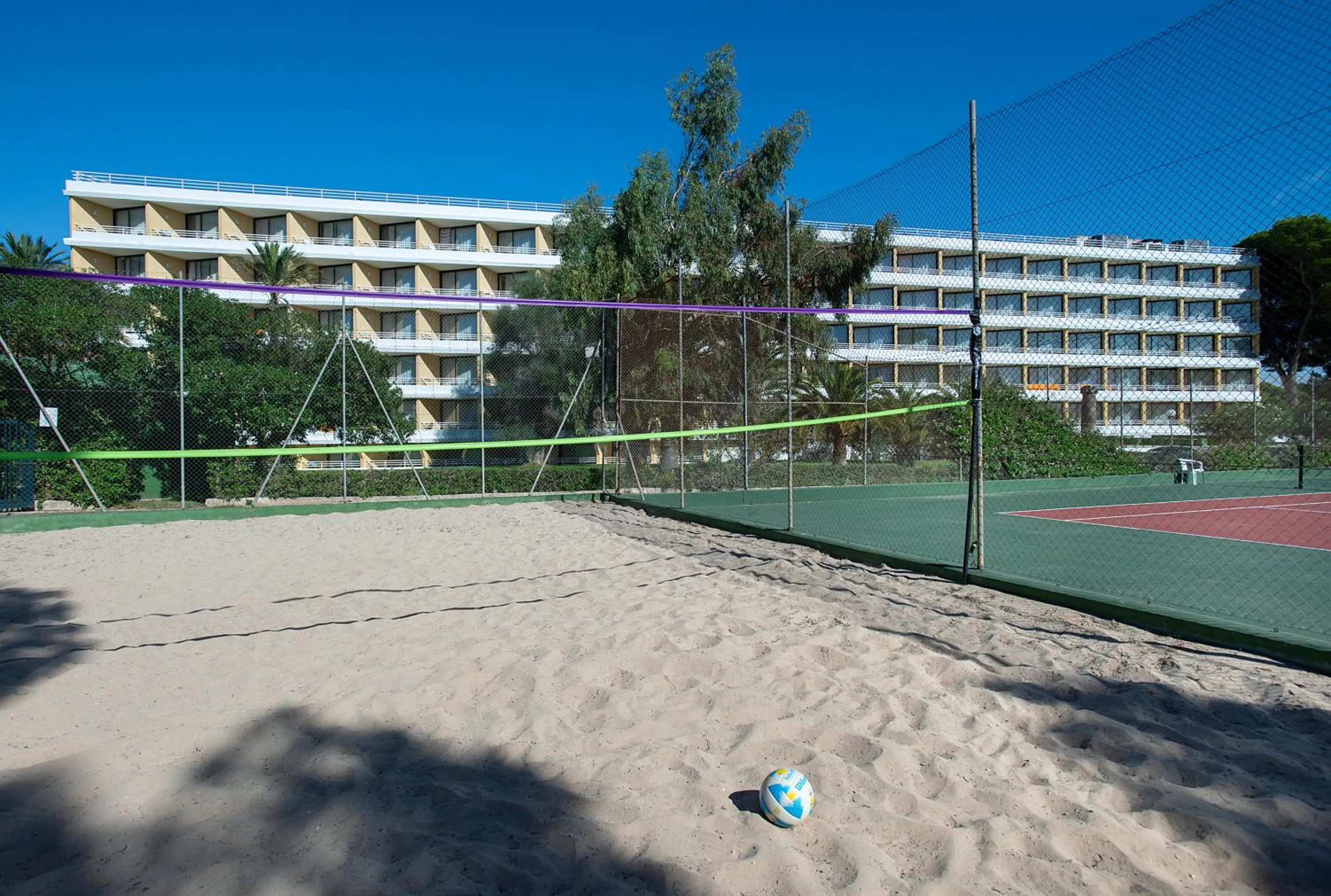 Sports in Exagon Park