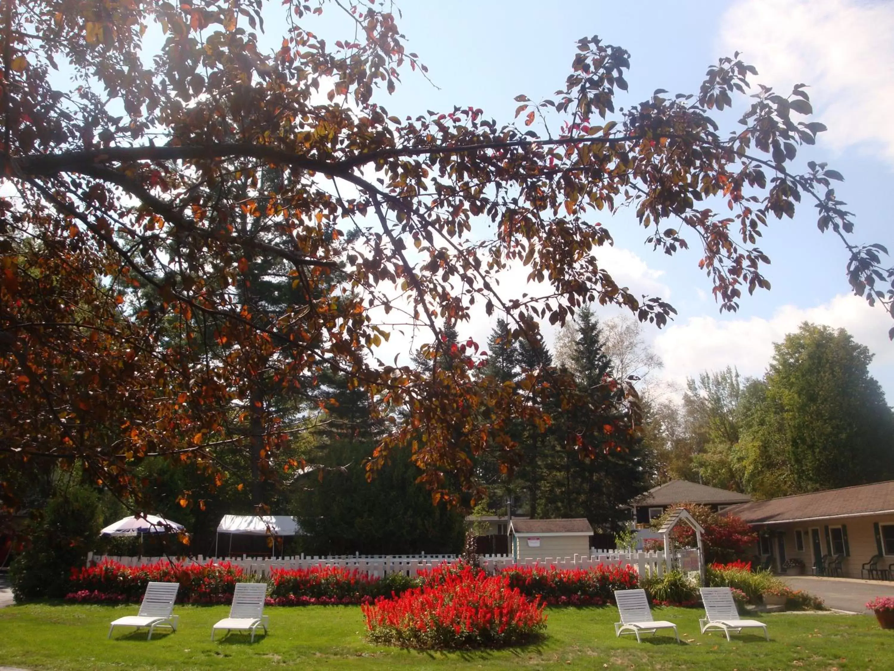 Garden in Maple Leaf Inn Lake Placid