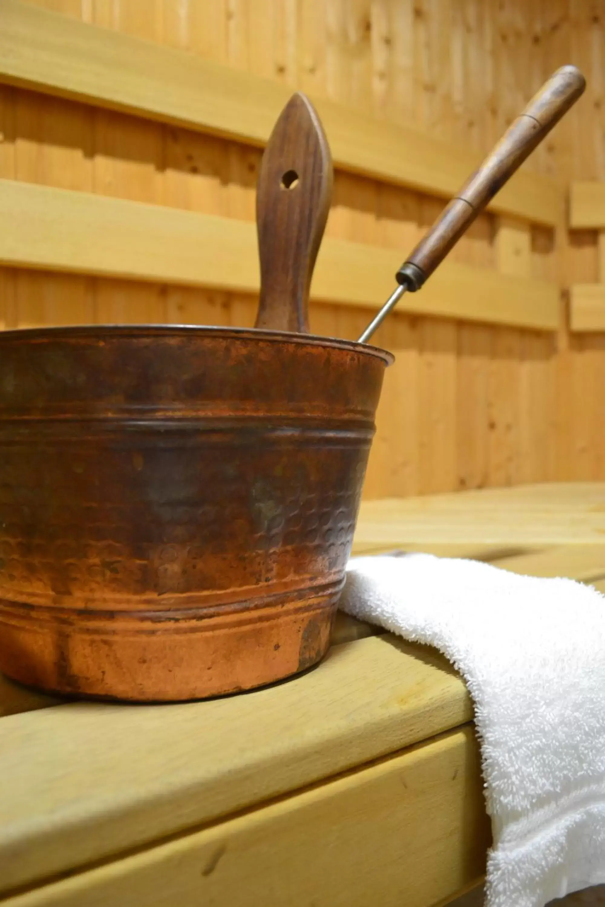 Sauna, Bathroom in Best Western University Inn