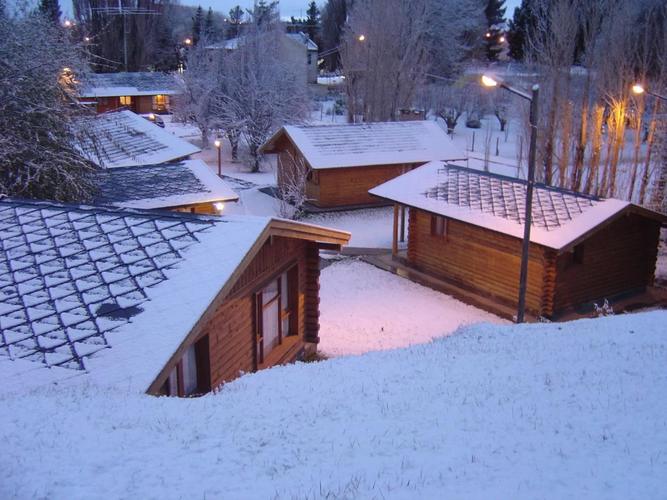View (from property/room) in Santa Monica Aparts